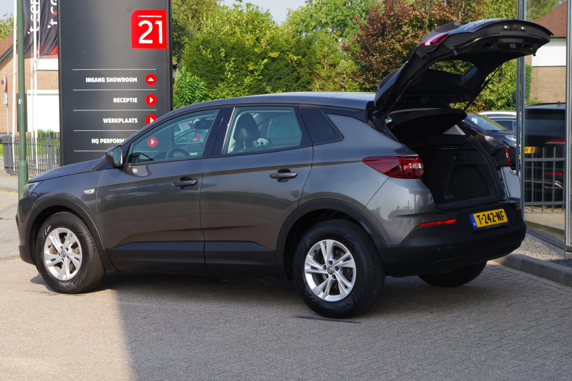 Hoofdafbeelding Opel Grandland X