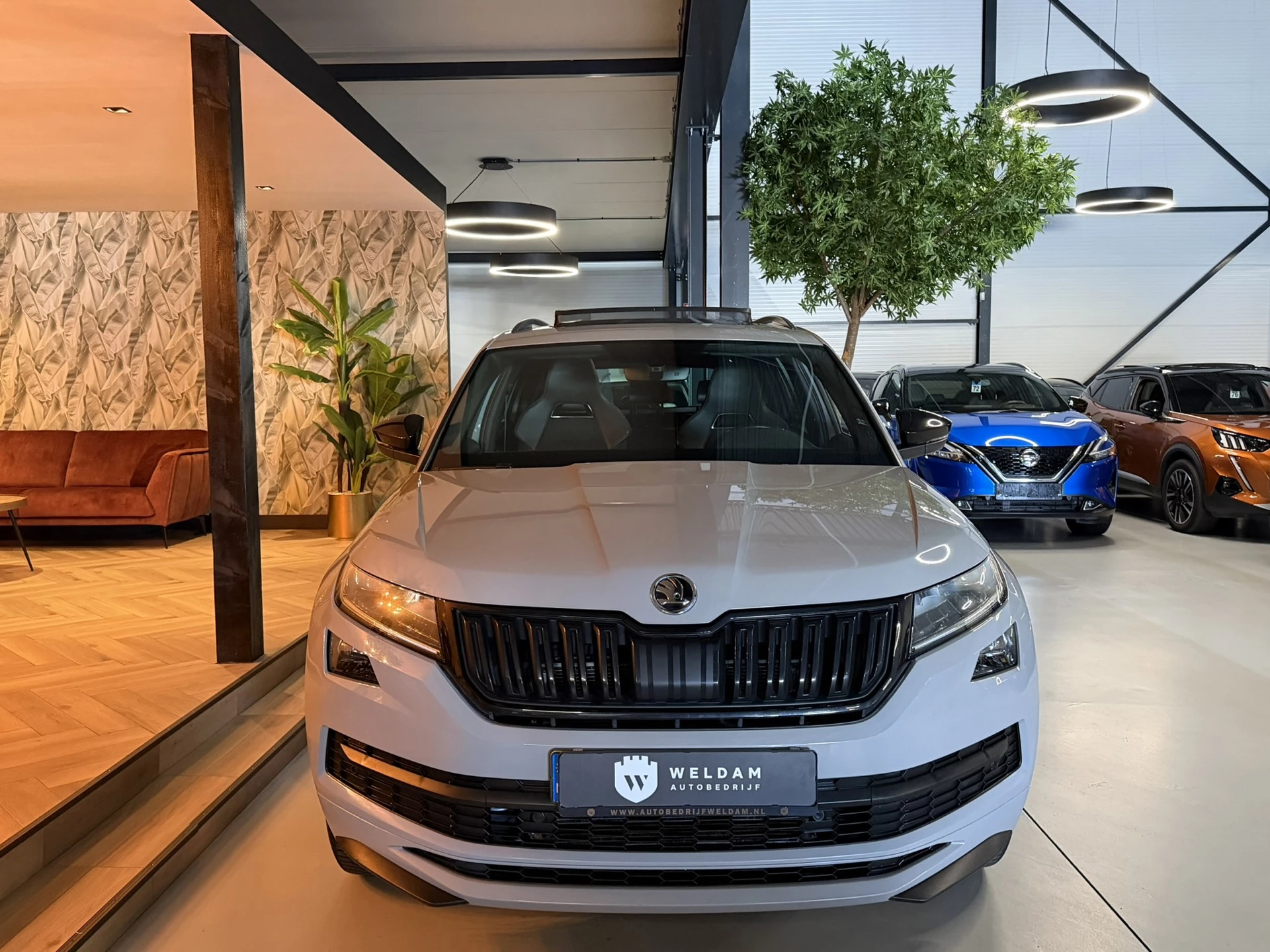 Hoofdafbeelding Škoda Kodiaq