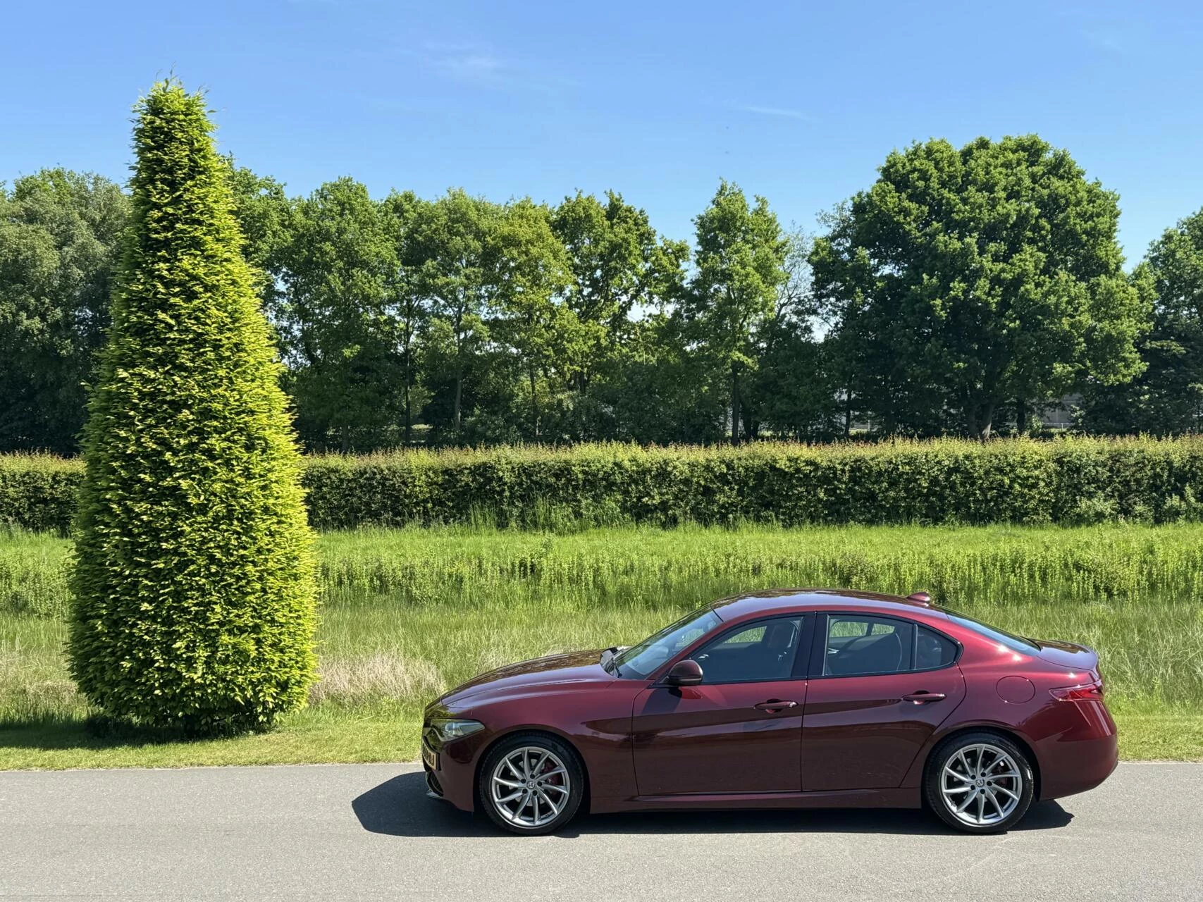 Hoofdafbeelding Alfa Romeo Giulia