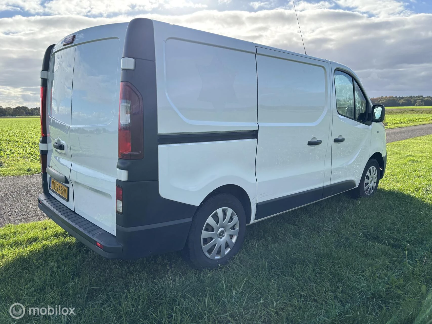 Hoofdafbeelding Renault Trafic