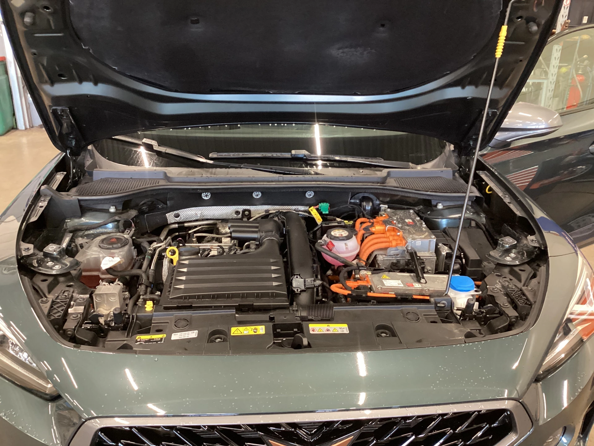 Hoofdafbeelding CUPRA Formentor