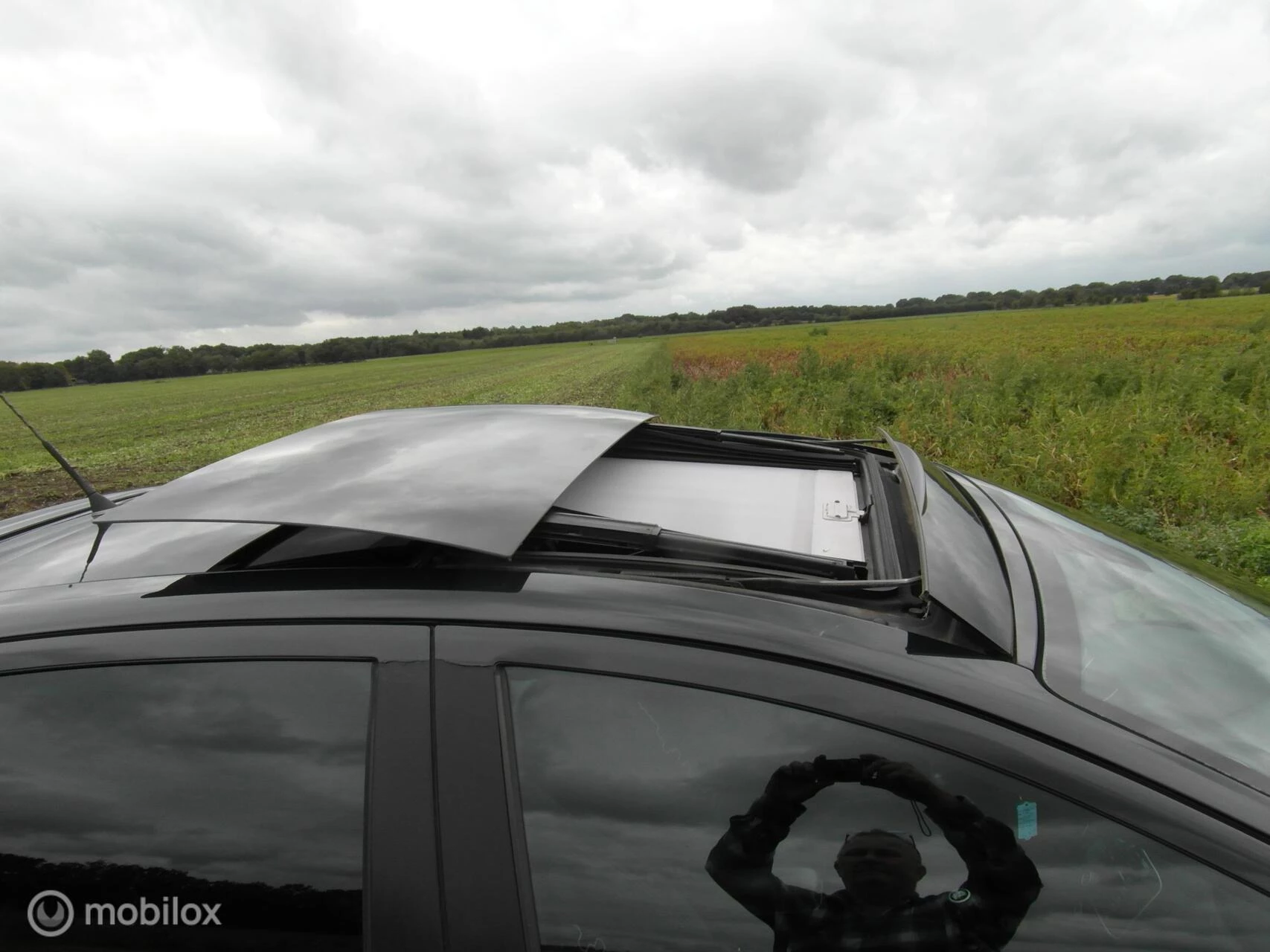 Hoofdafbeelding Fiat Punto