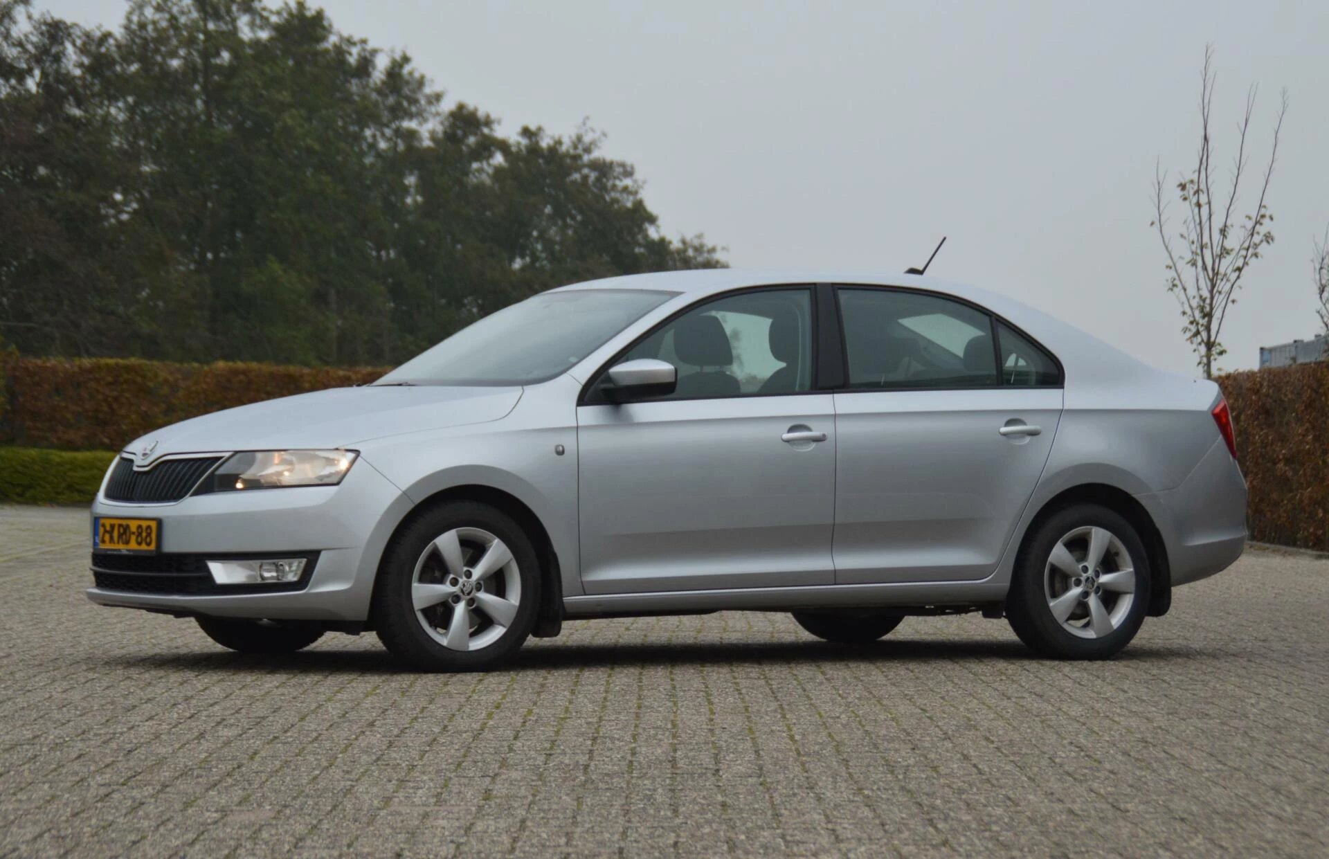 Hoofdafbeelding Škoda Rapid