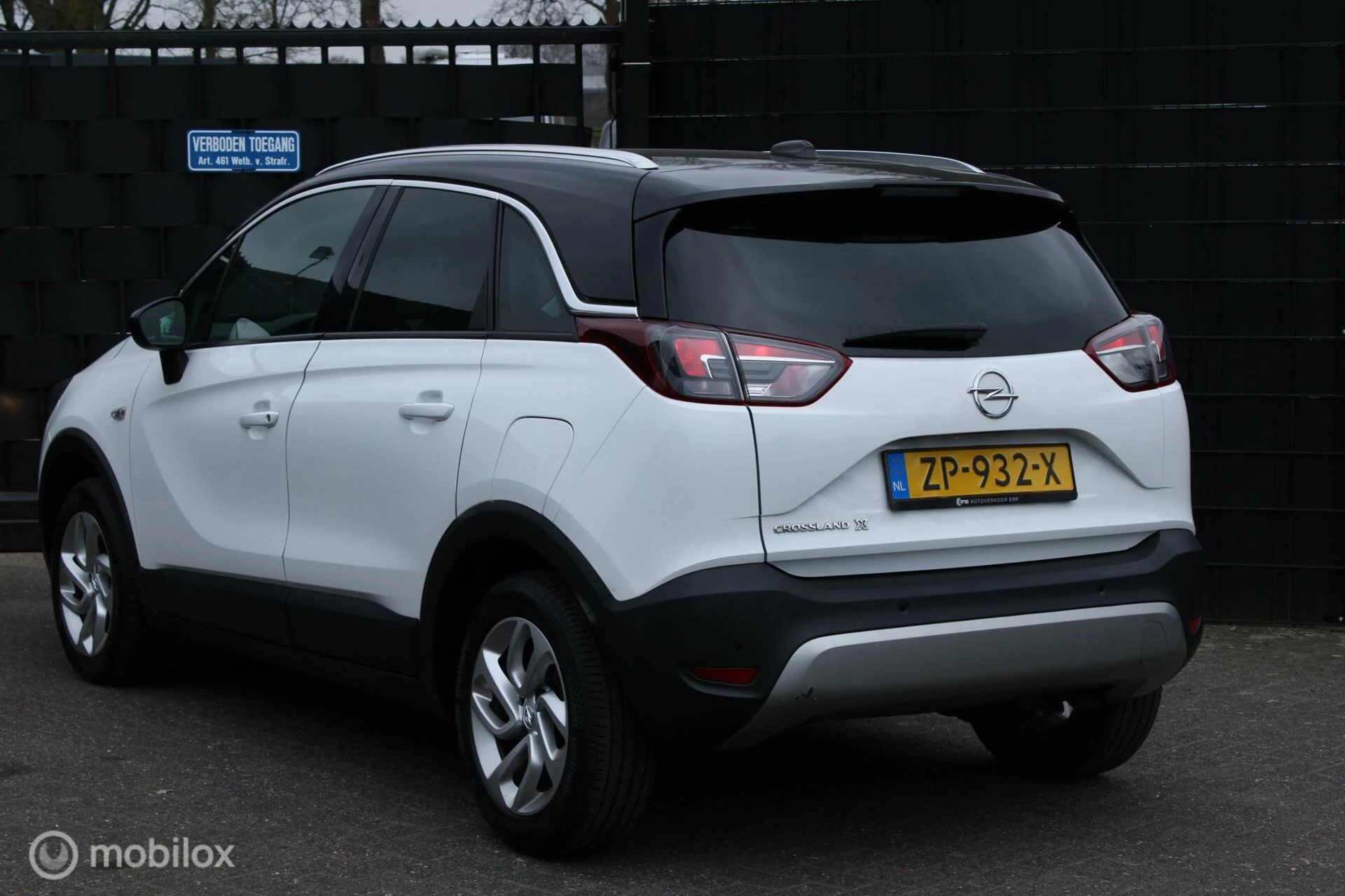 Hoofdafbeelding Opel Crossland X