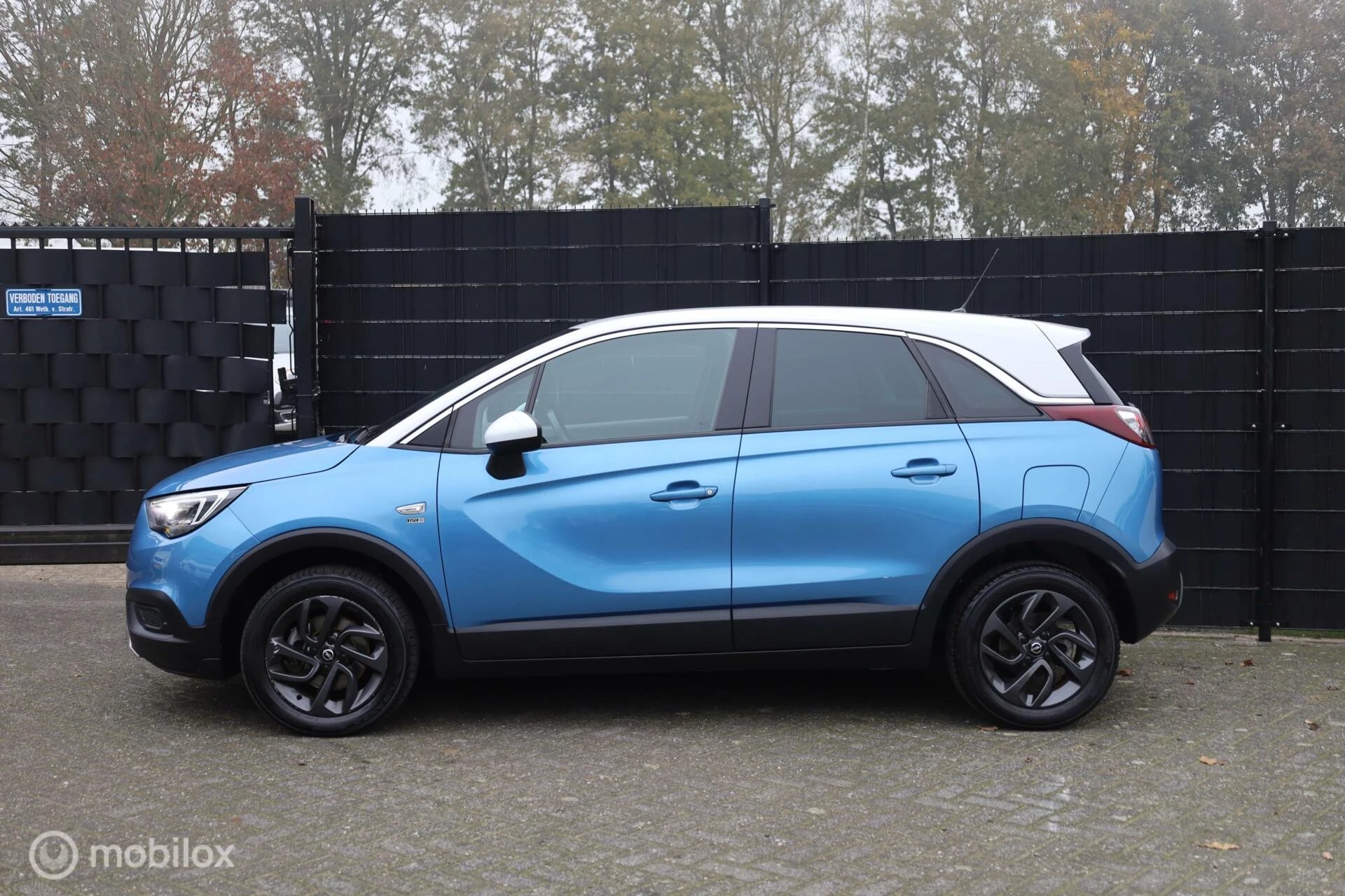 Hoofdafbeelding Opel Crossland X