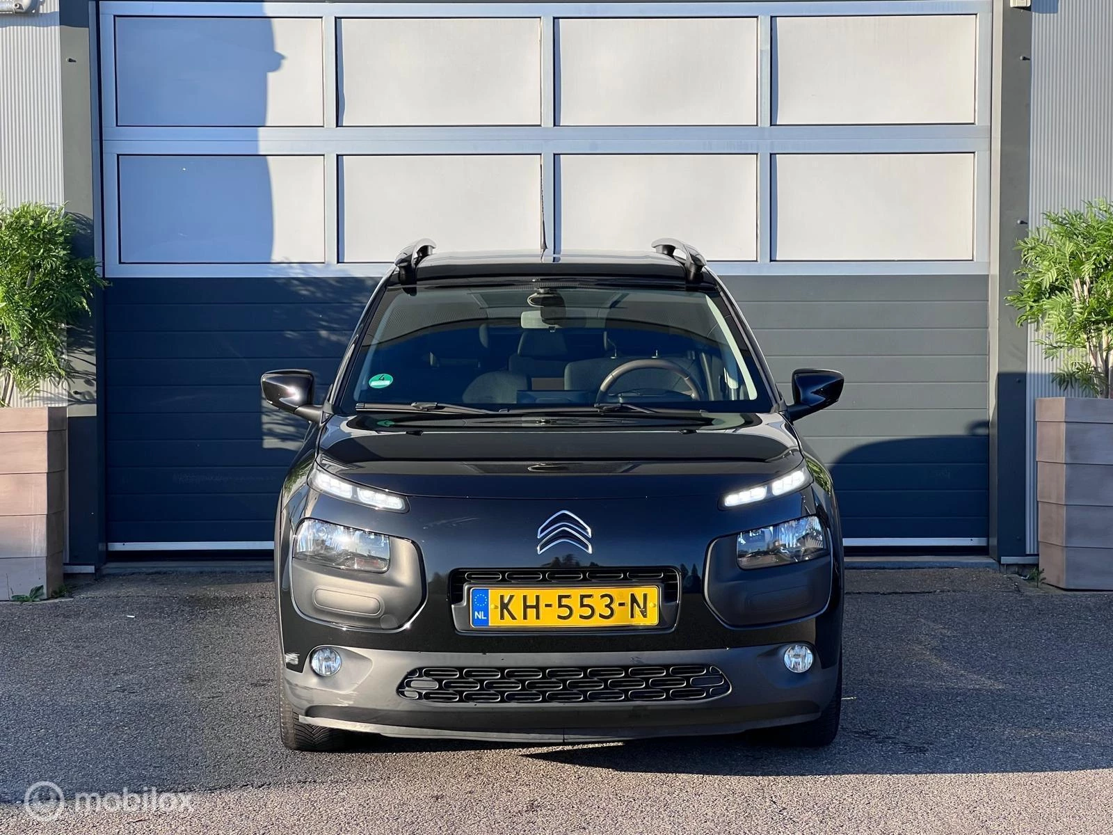 Hoofdafbeelding Citroën C4 Cactus