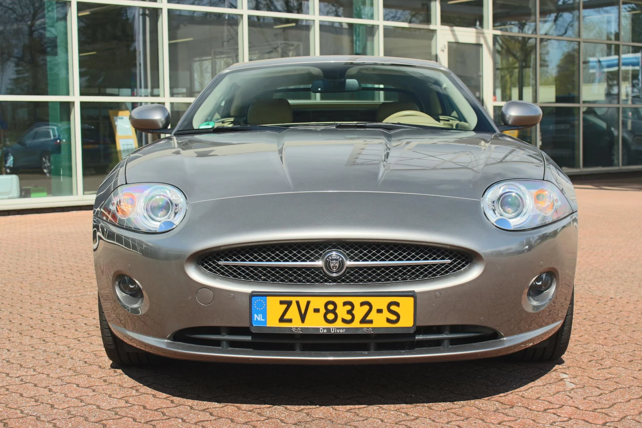 Hoofdafbeelding Jaguar XK