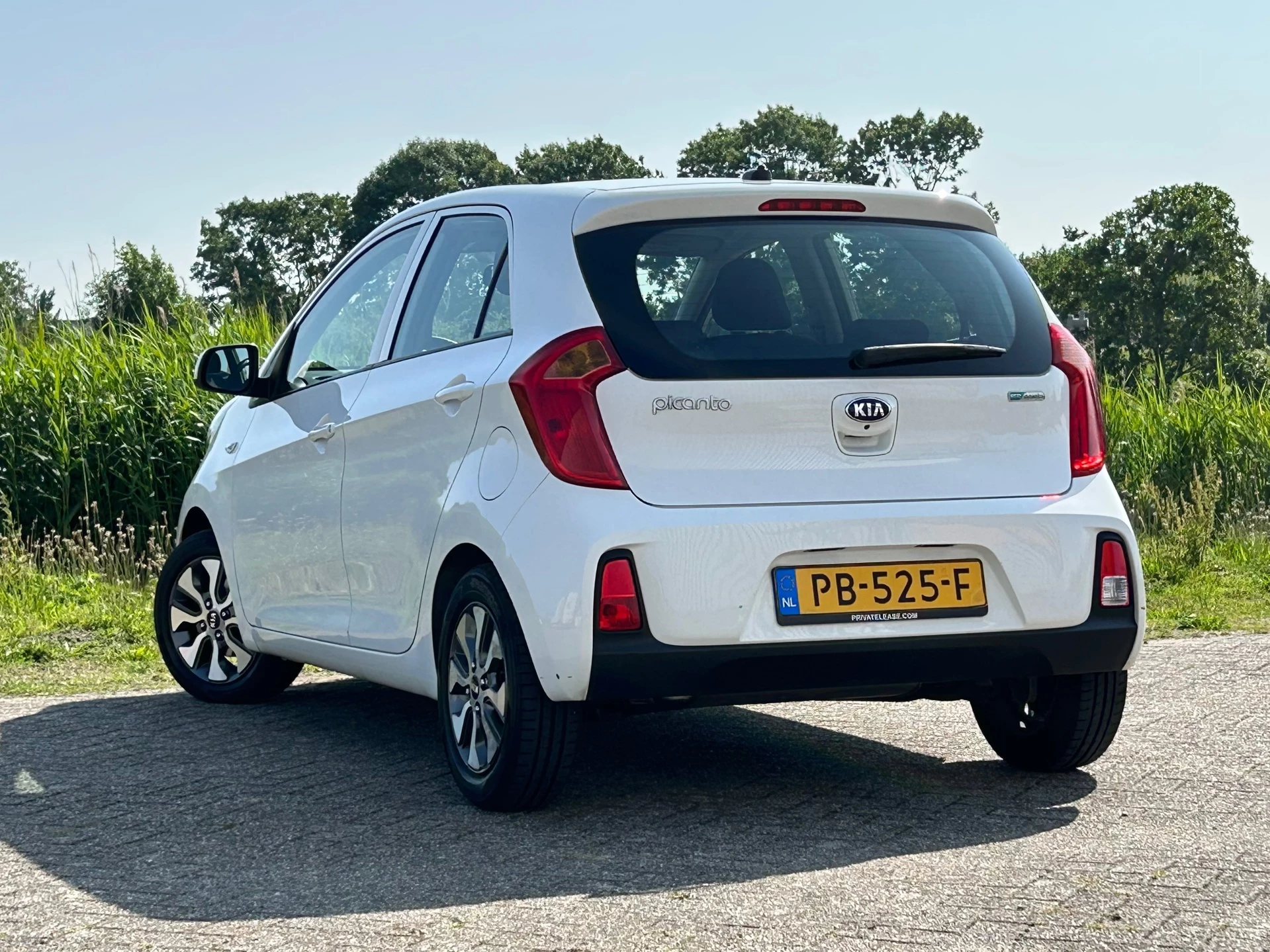 Hoofdafbeelding Kia Picanto