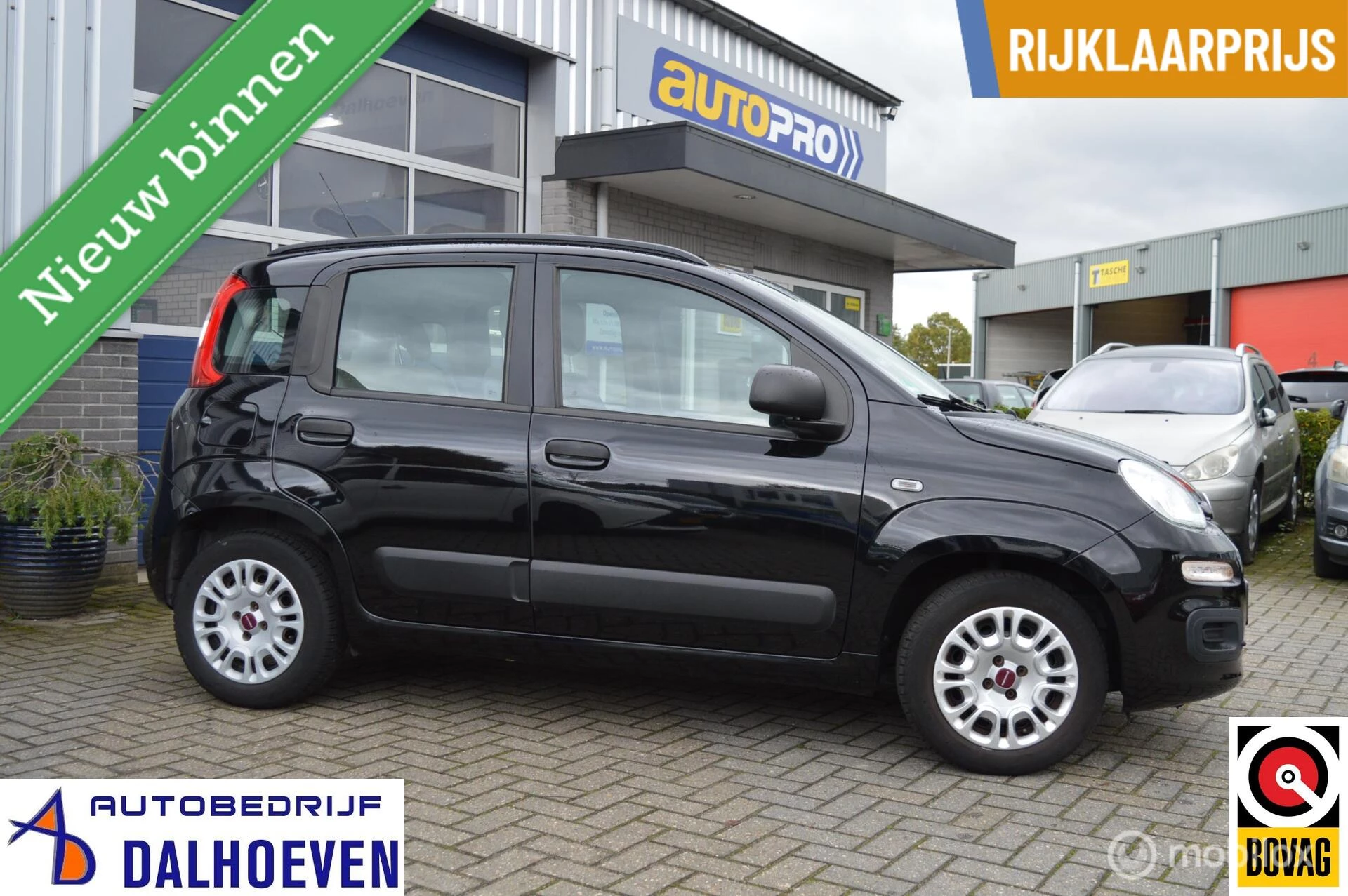 Hoofdafbeelding Fiat Panda