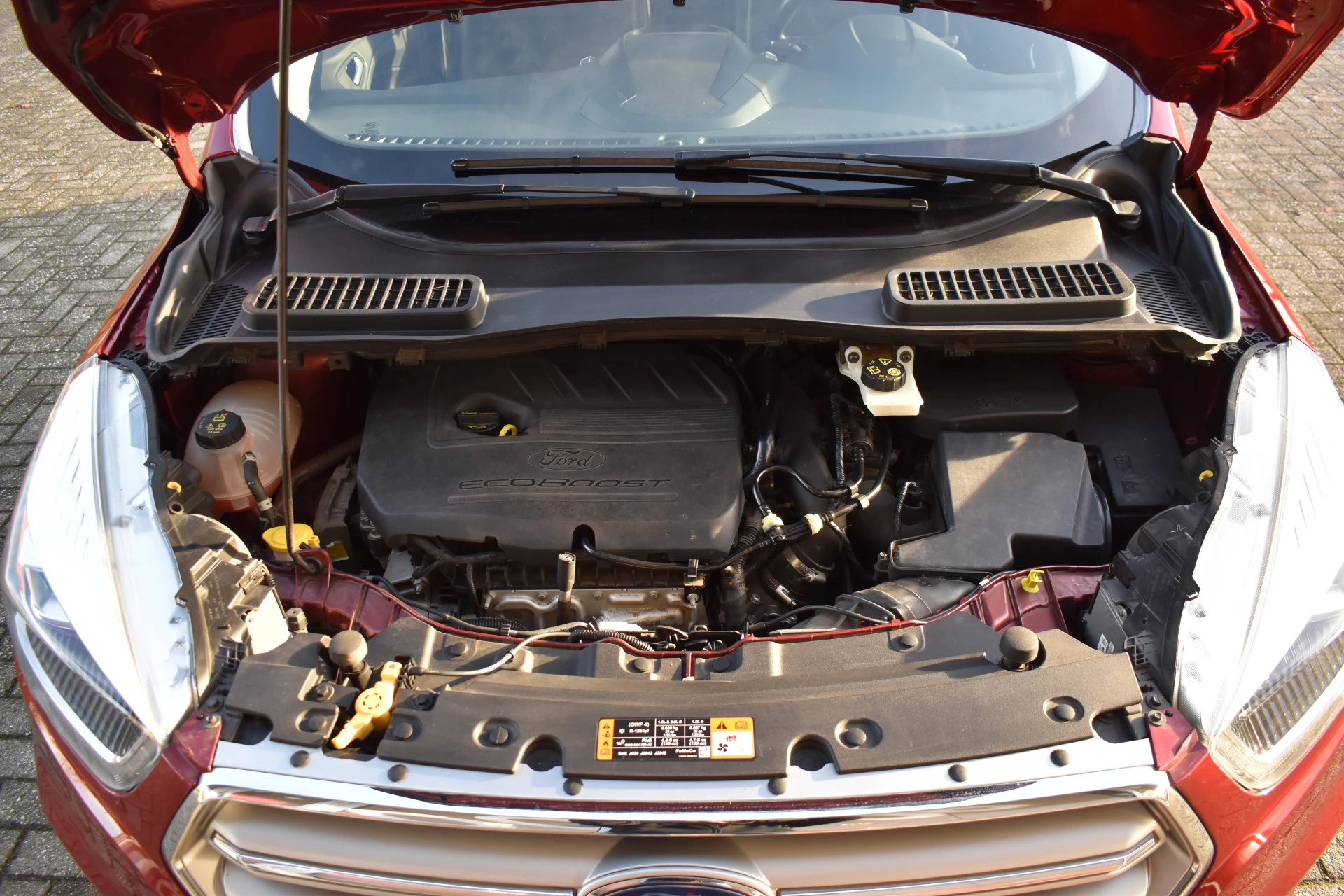 Hoofdafbeelding Ford Kuga