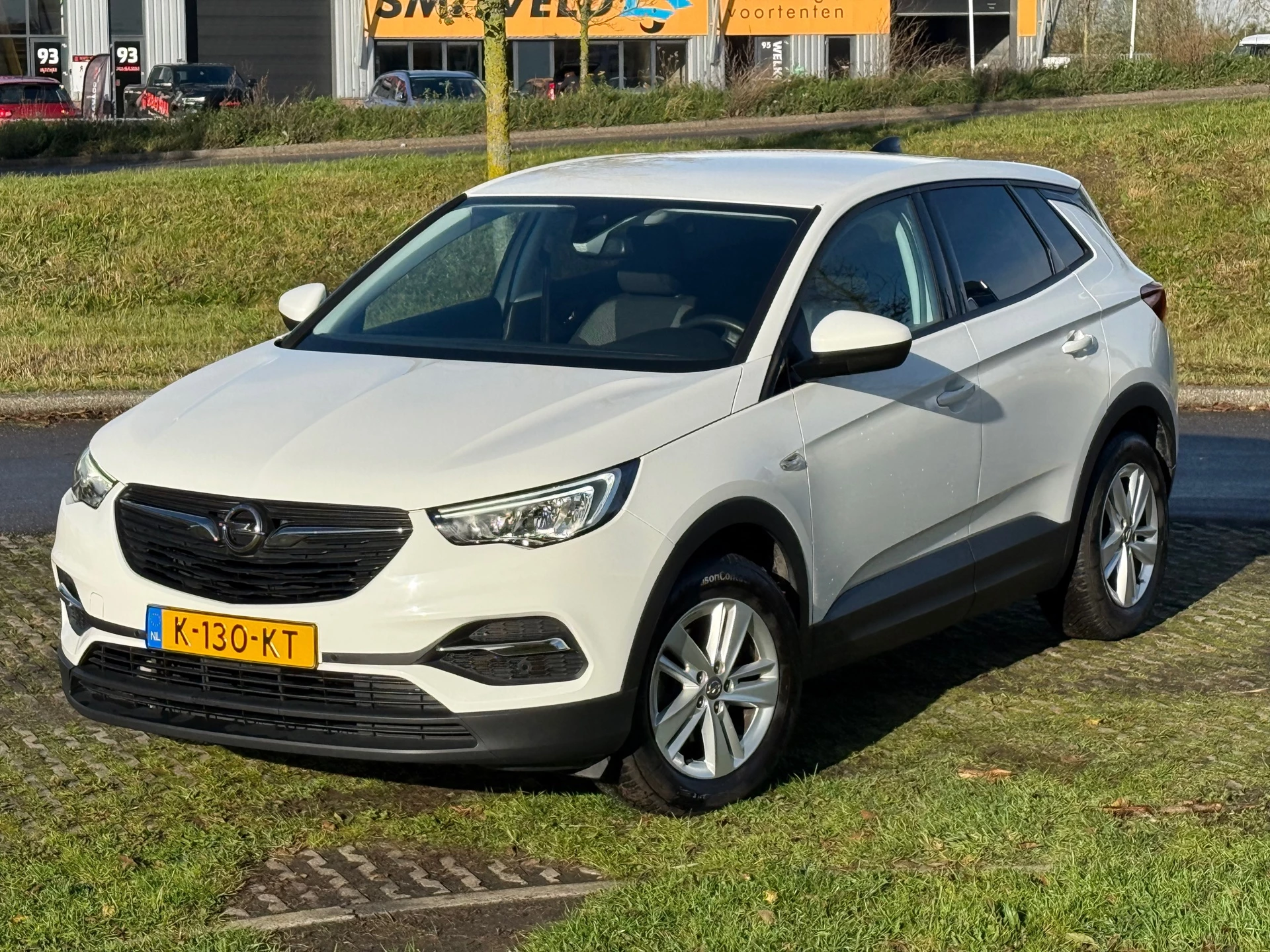 Hoofdafbeelding Opel Grandland X
