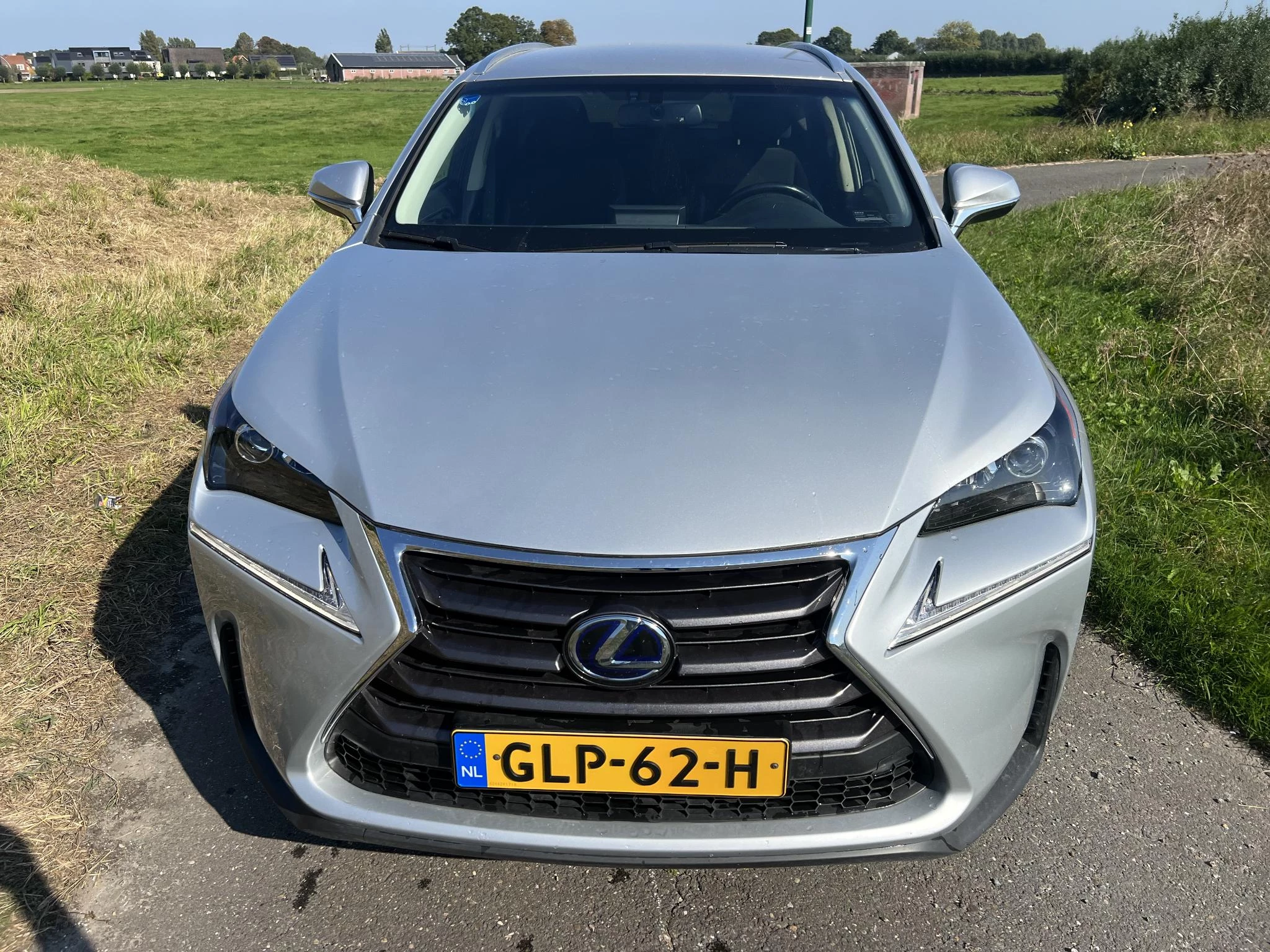 Hoofdafbeelding Lexus NX
