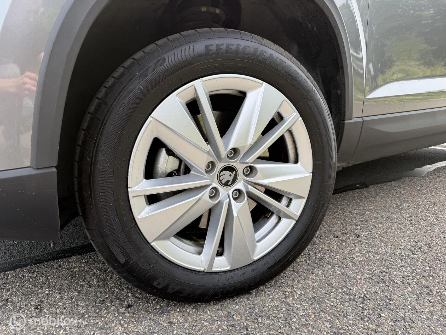 Hoofdafbeelding Škoda Karoq