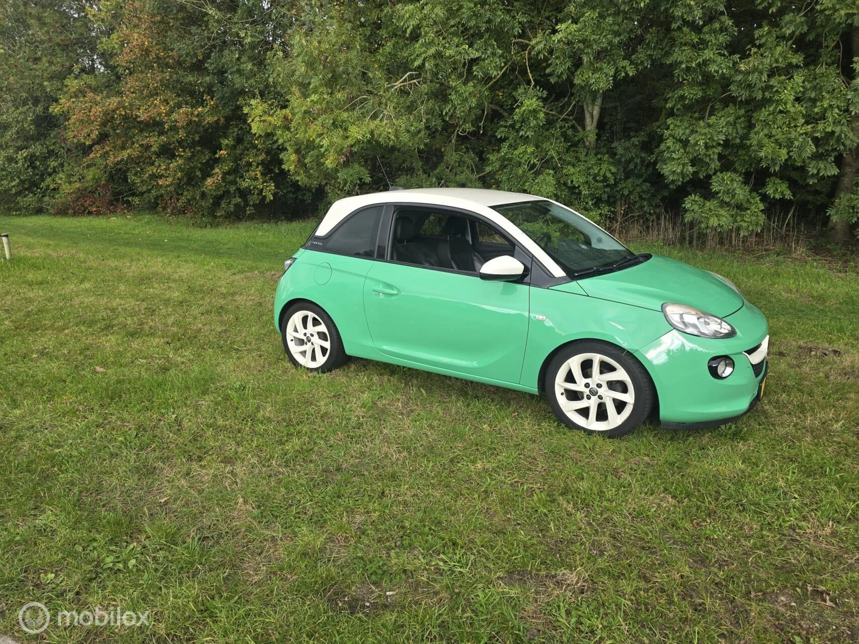 Hoofdafbeelding Opel ADAM