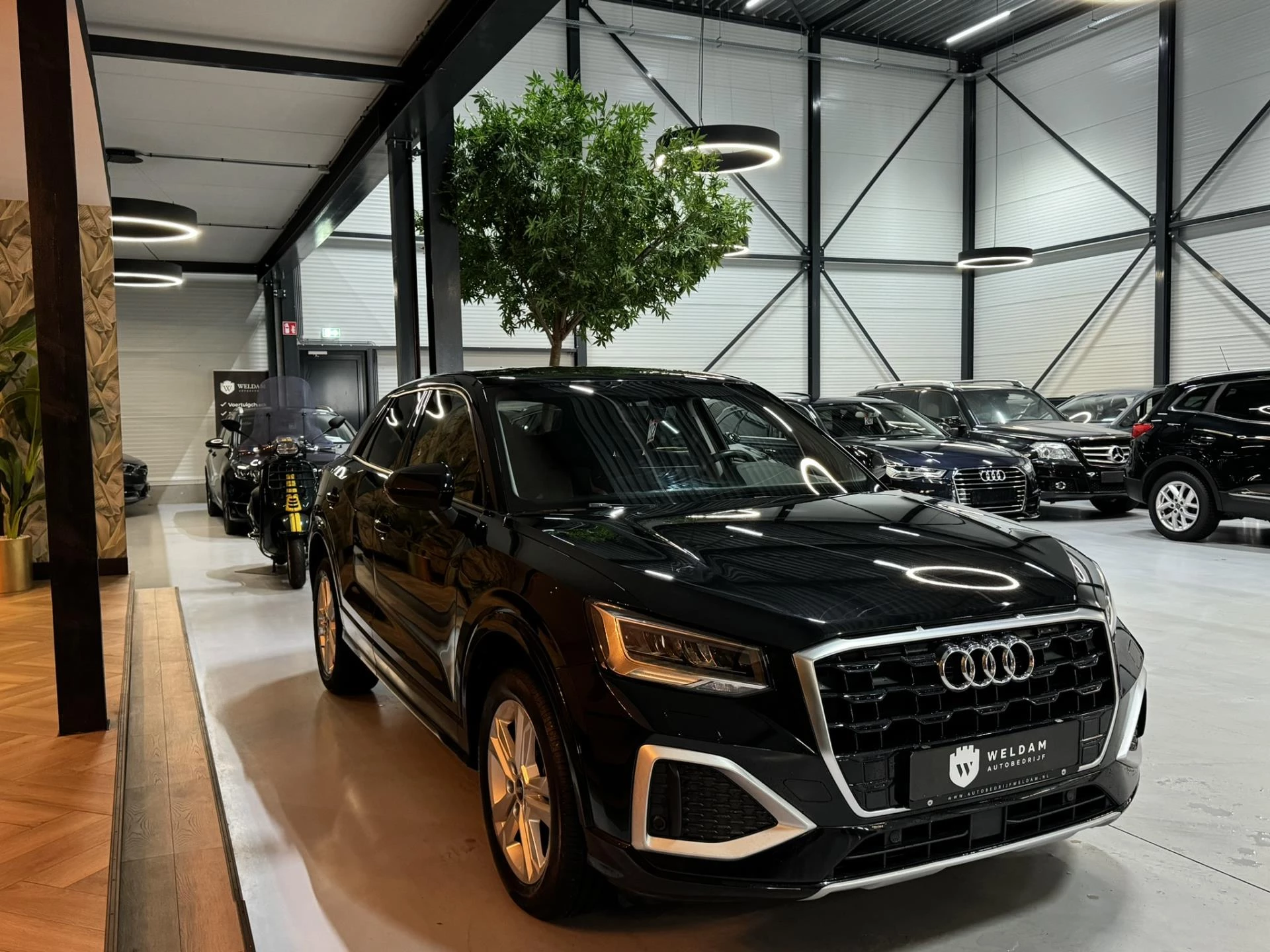 Hoofdafbeelding Audi Q2