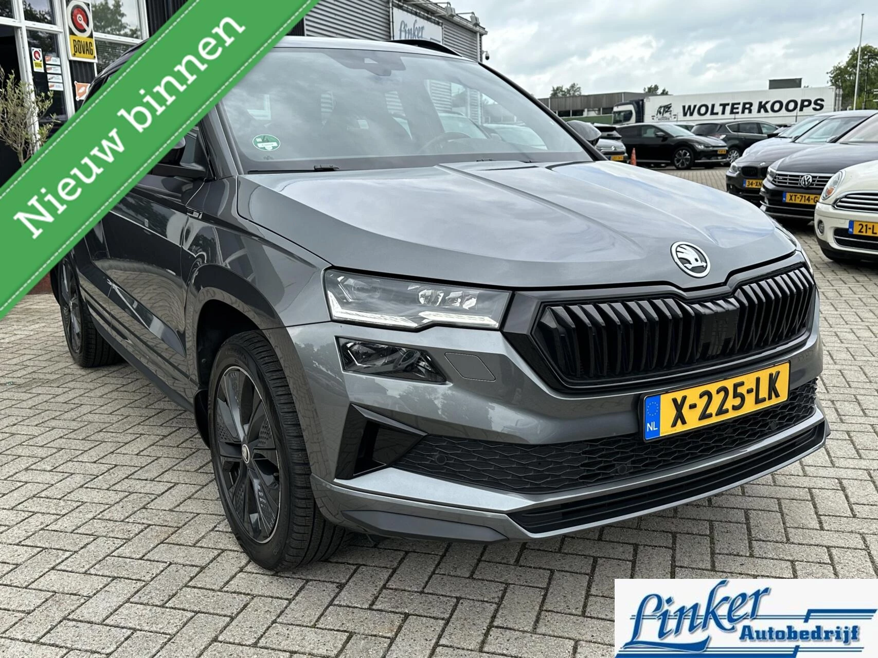 Hoofdafbeelding Škoda Karoq