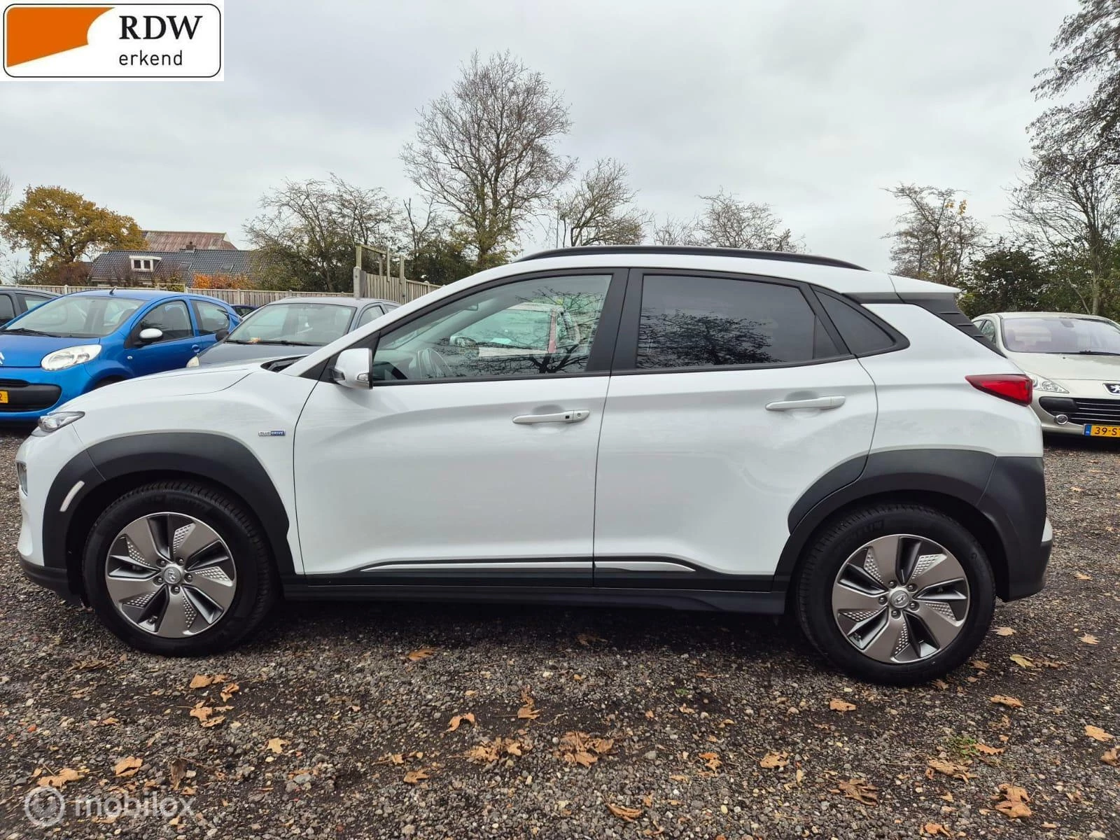 Hoofdafbeelding Hyundai Kona