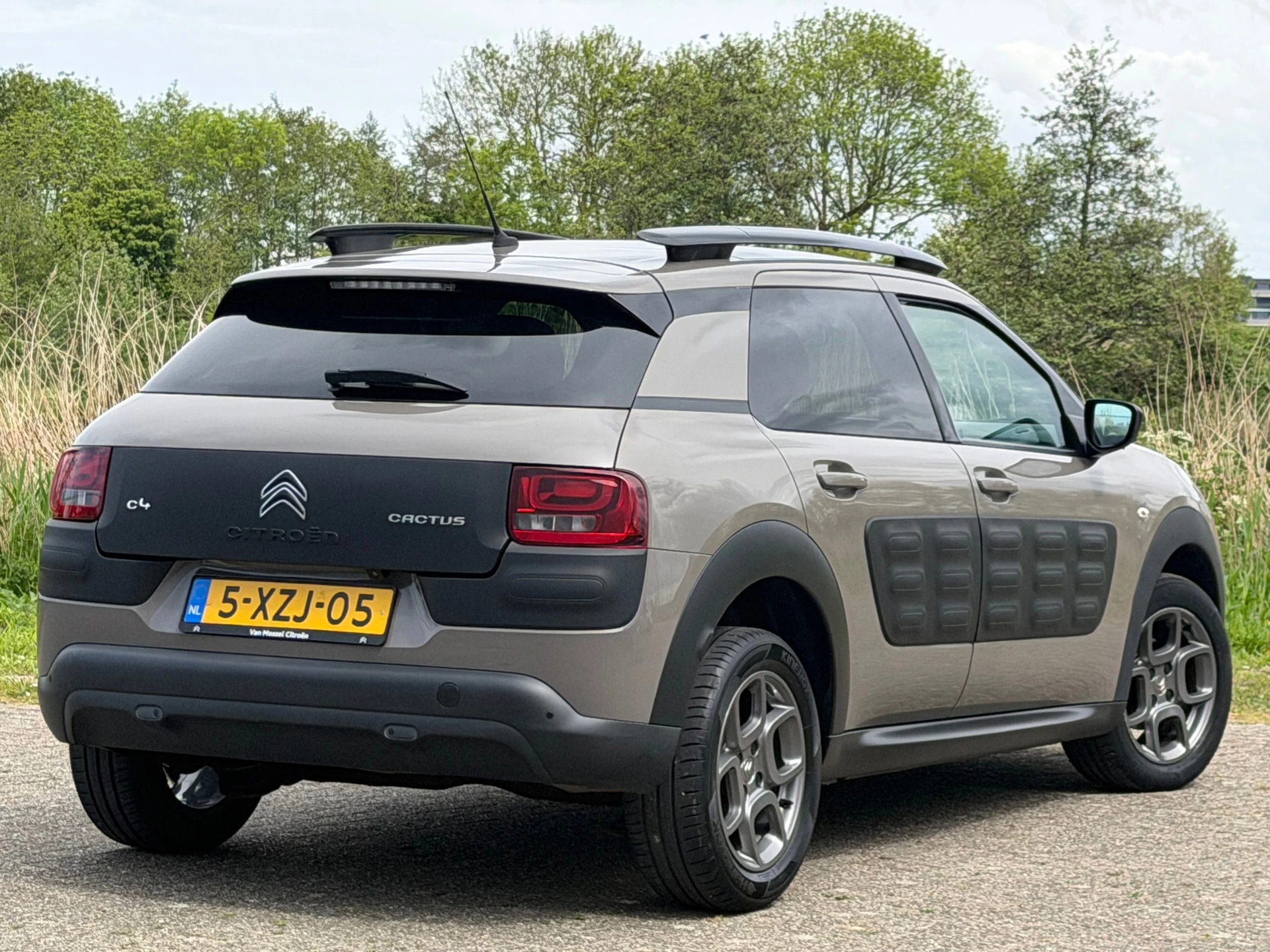 Hoofdafbeelding Citroën C4 Cactus