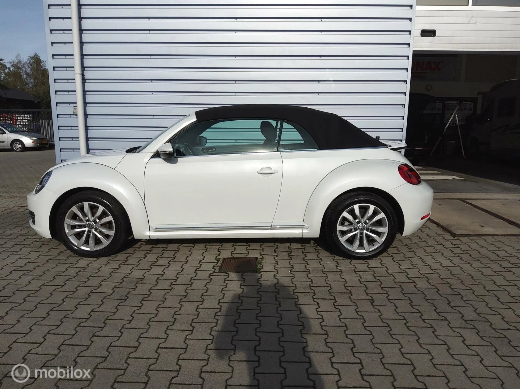 Hoofdafbeelding Volkswagen Beetle