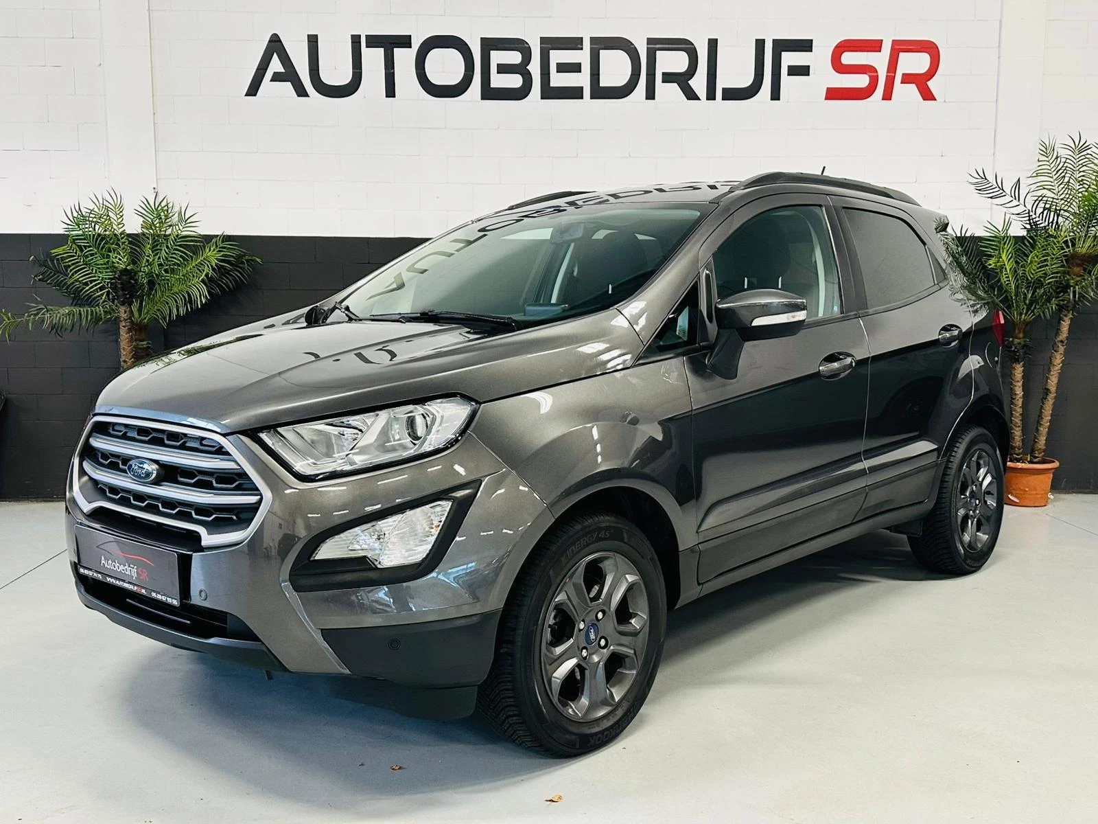 Hoofdafbeelding Ford EcoSport