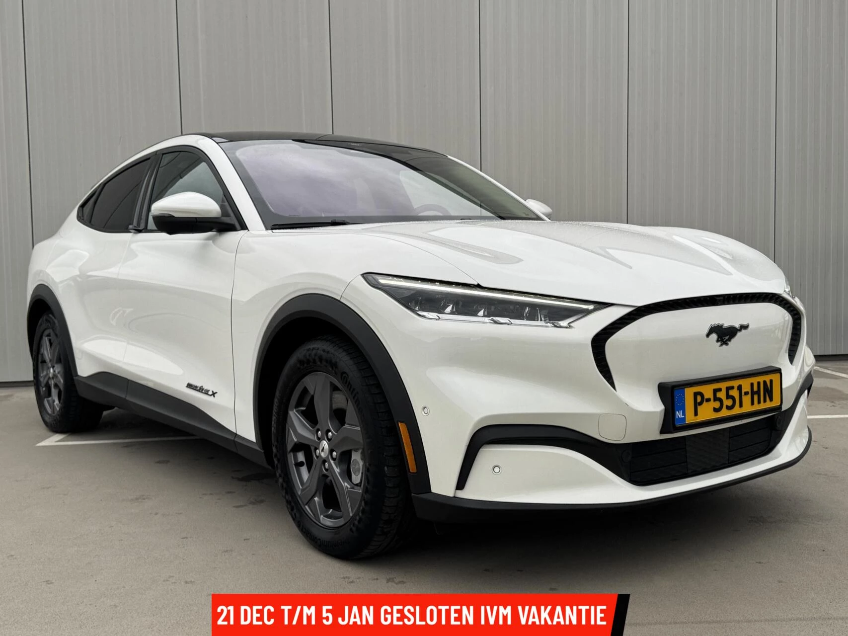 Hoofdafbeelding Ford Mustang Mach-E