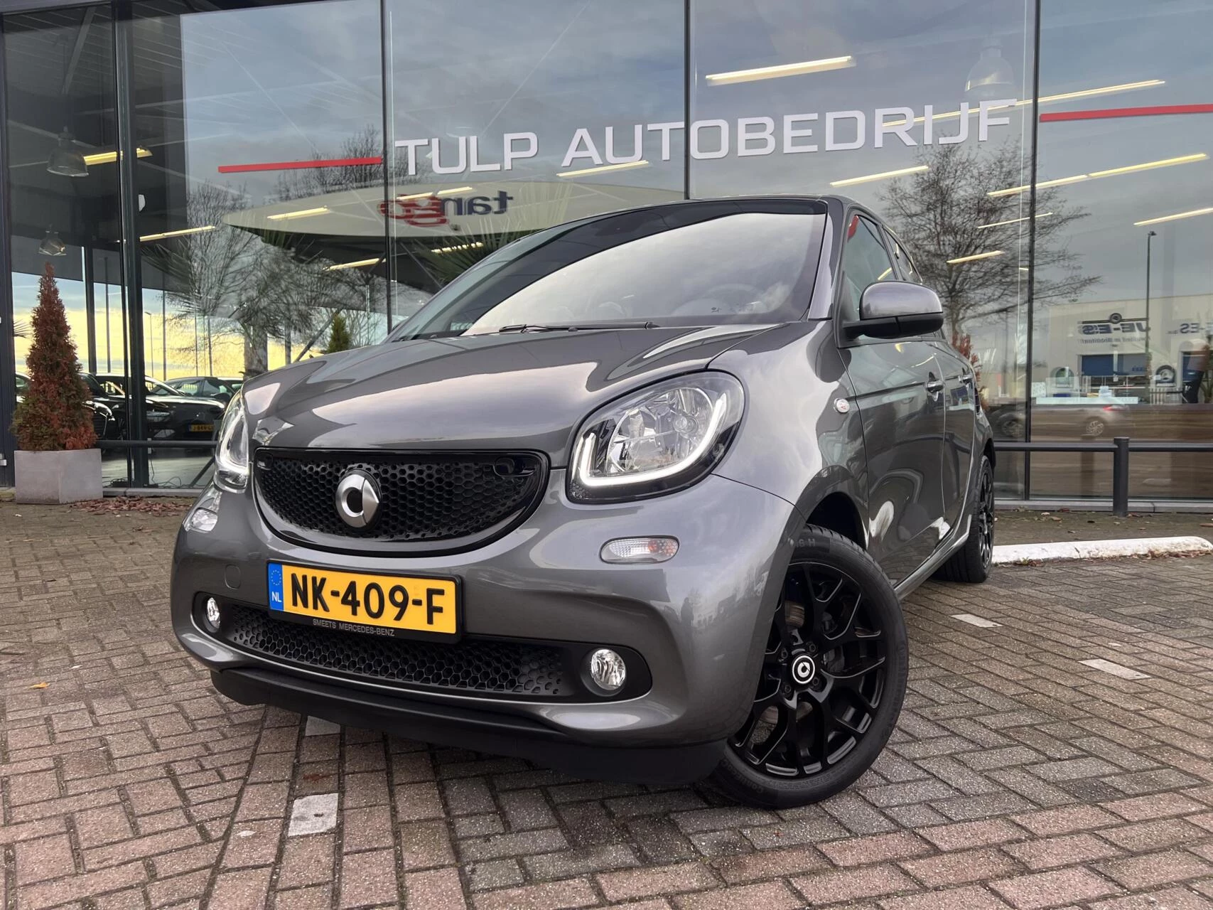 Hoofdafbeelding smart Forfour