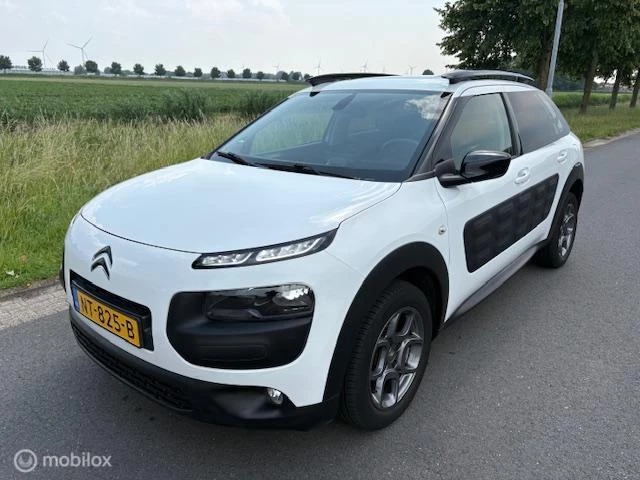 Hoofdafbeelding Citroën C4 Cactus