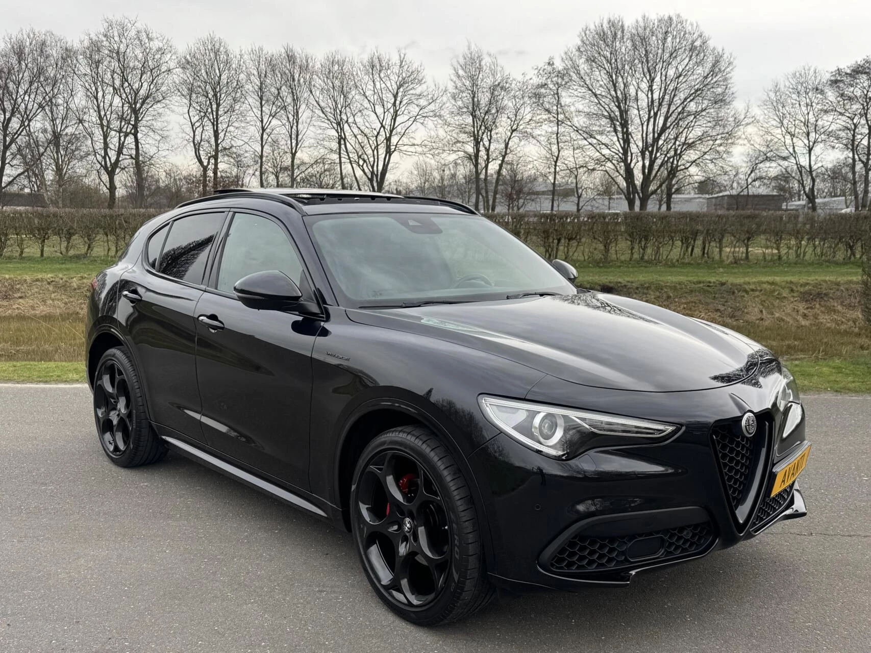 Hoofdafbeelding Alfa Romeo Stelvio