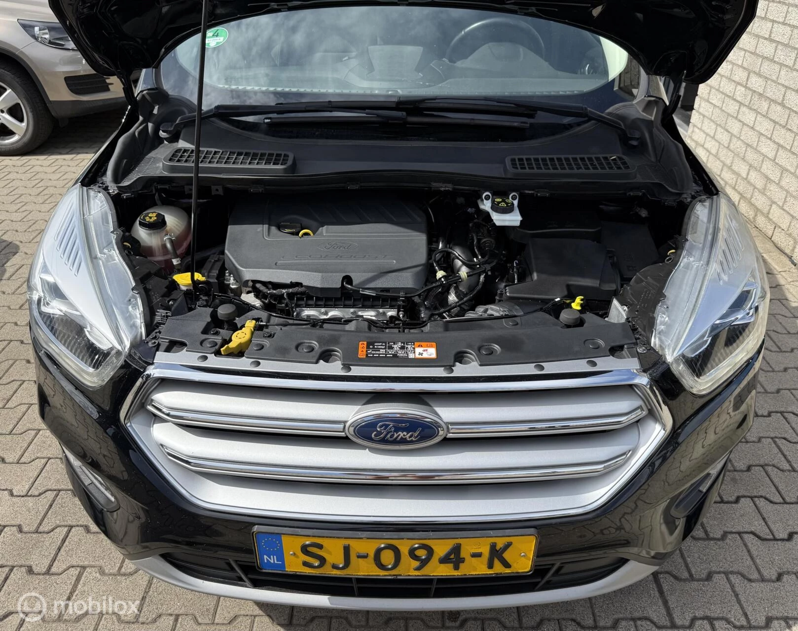 Hoofdafbeelding Ford Kuga