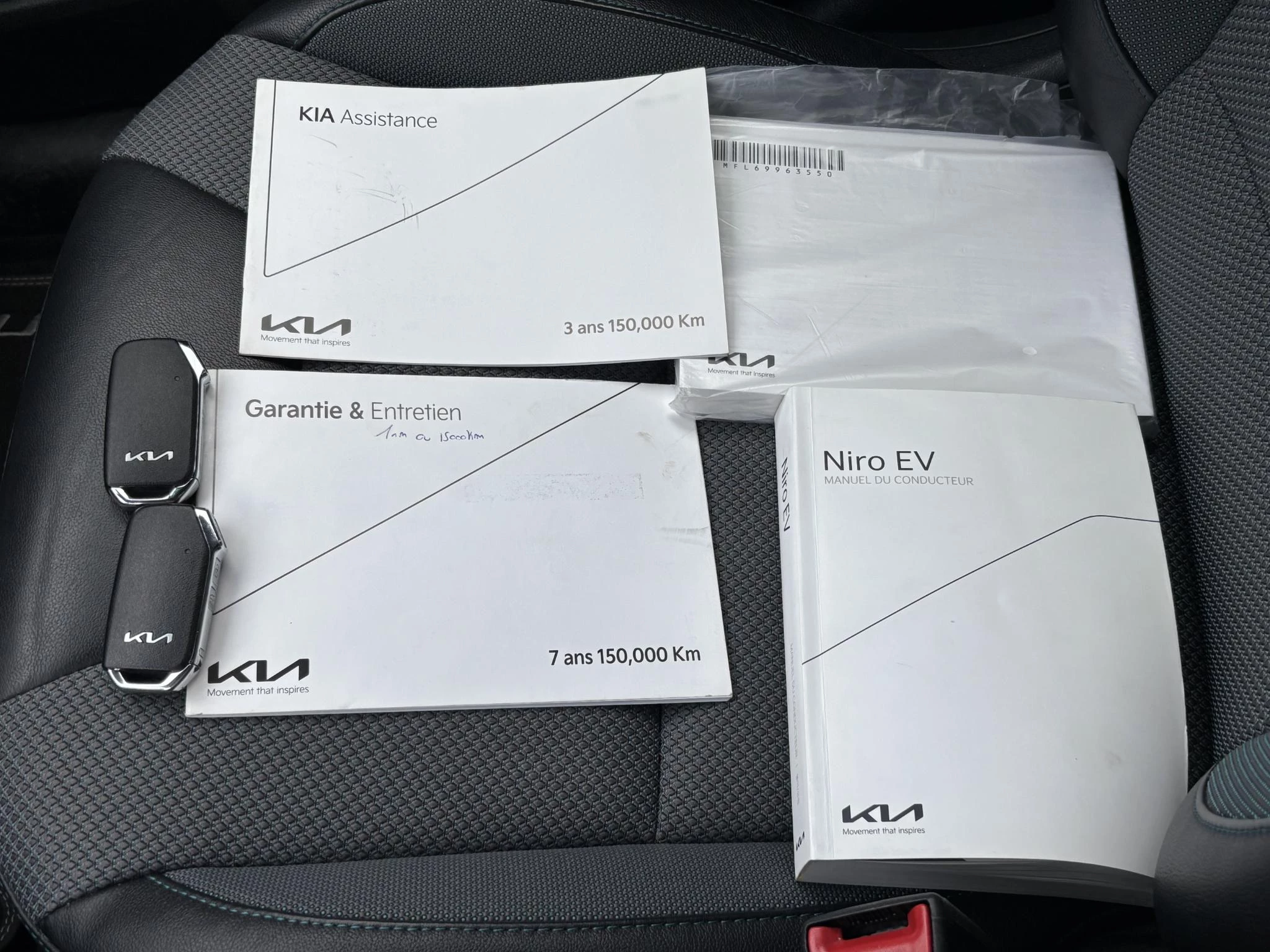 Hoofdafbeelding Kia e-Niro