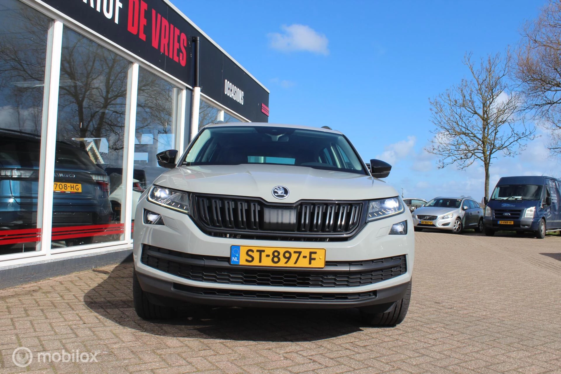 Hoofdafbeelding Škoda Kodiaq