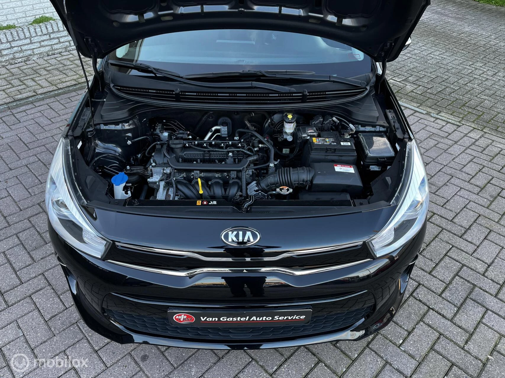 Hoofdafbeelding Kia Rio