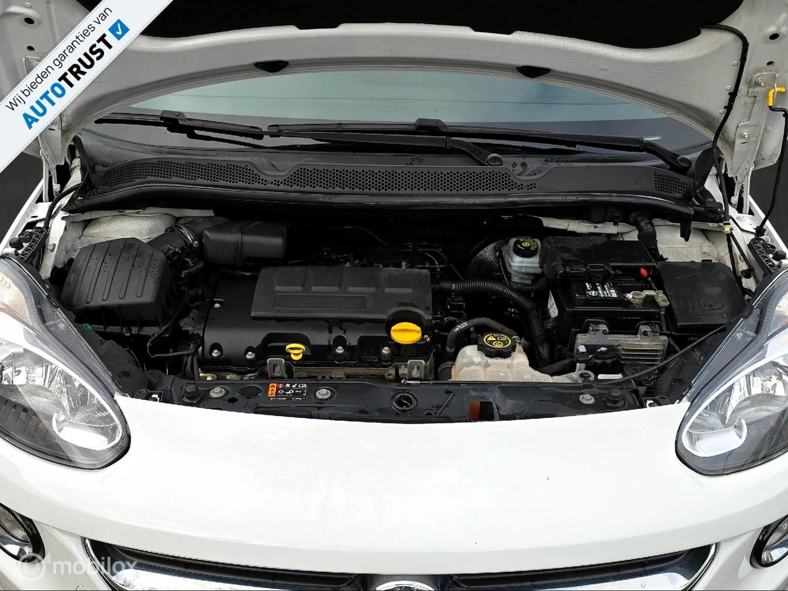 Hoofdafbeelding Opel ADAM