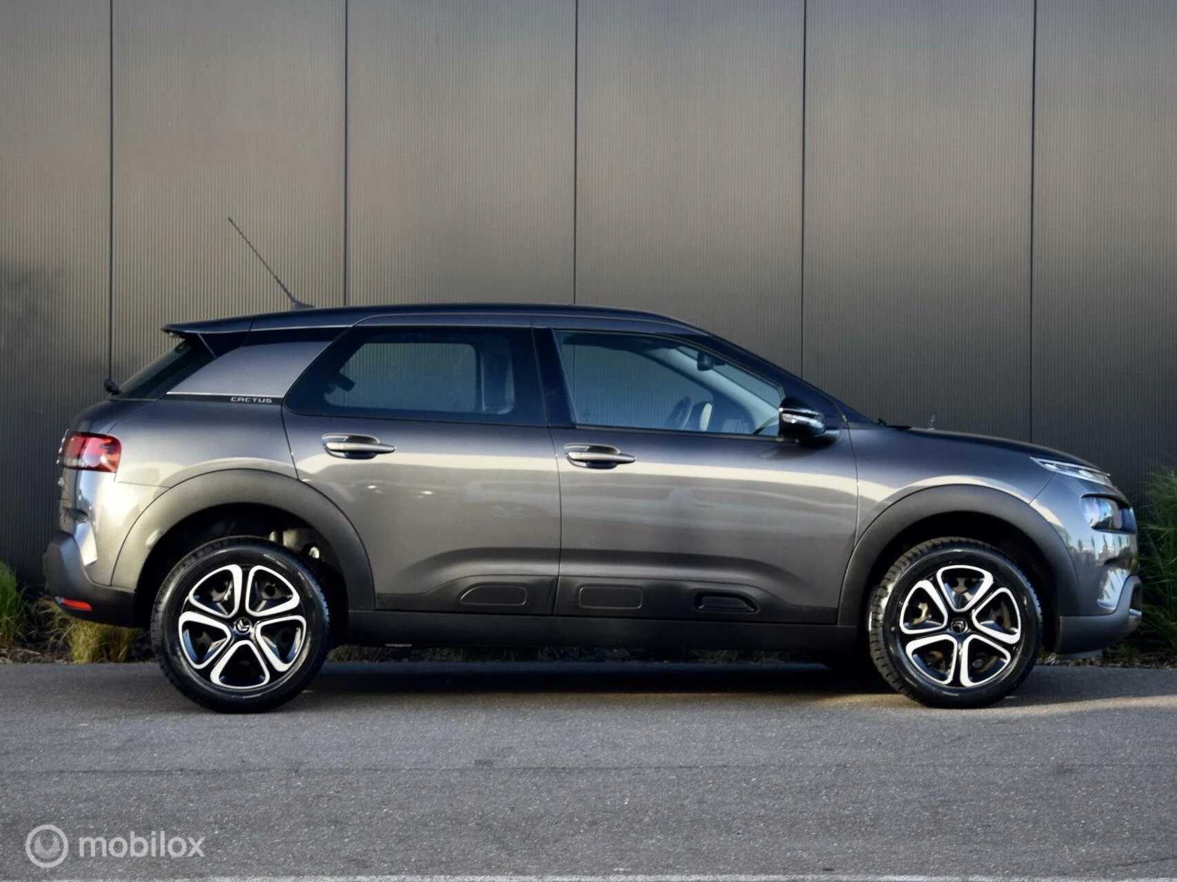 Hoofdafbeelding Citroën C4 Cactus