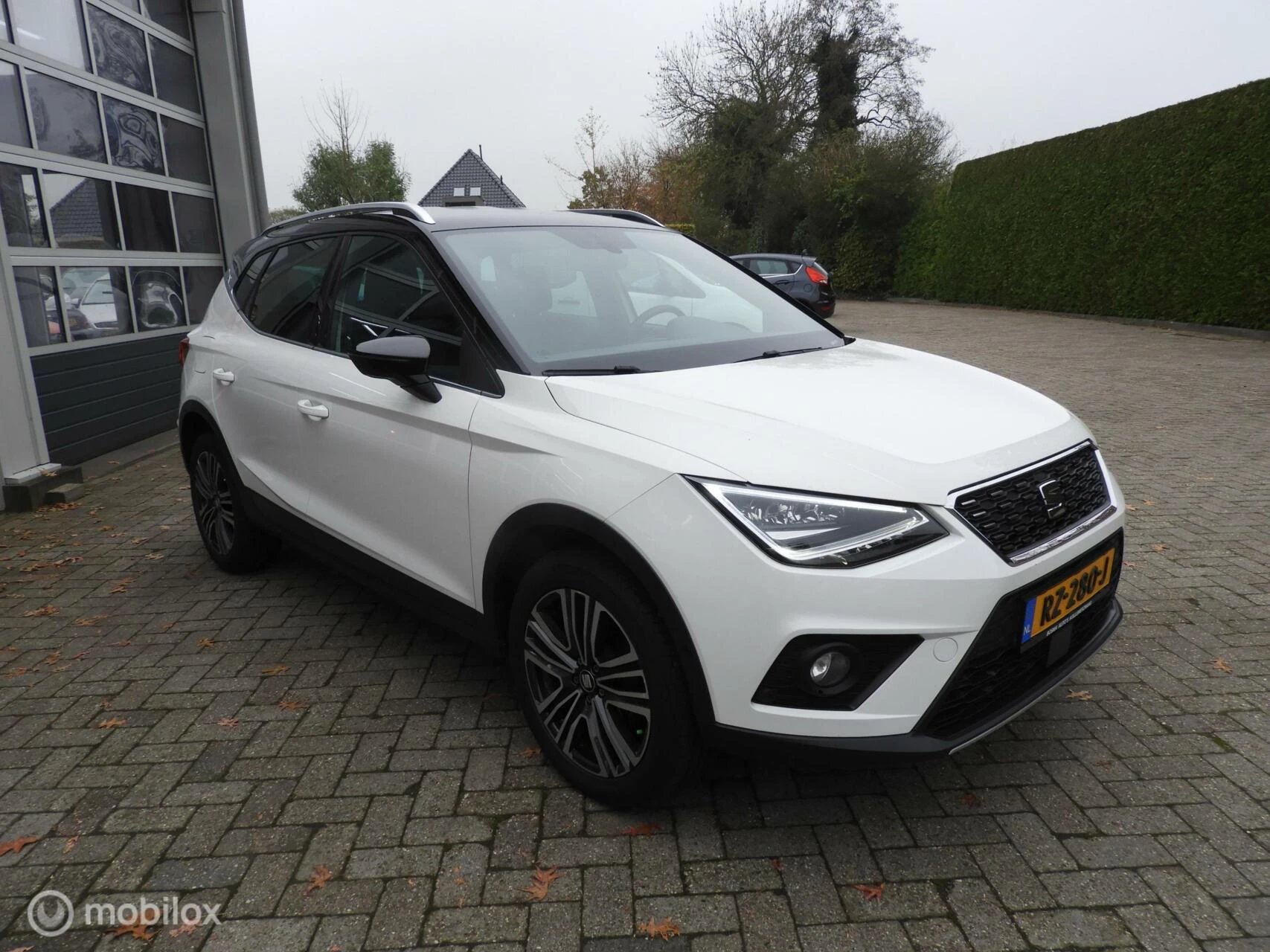 Hoofdafbeelding SEAT Arona