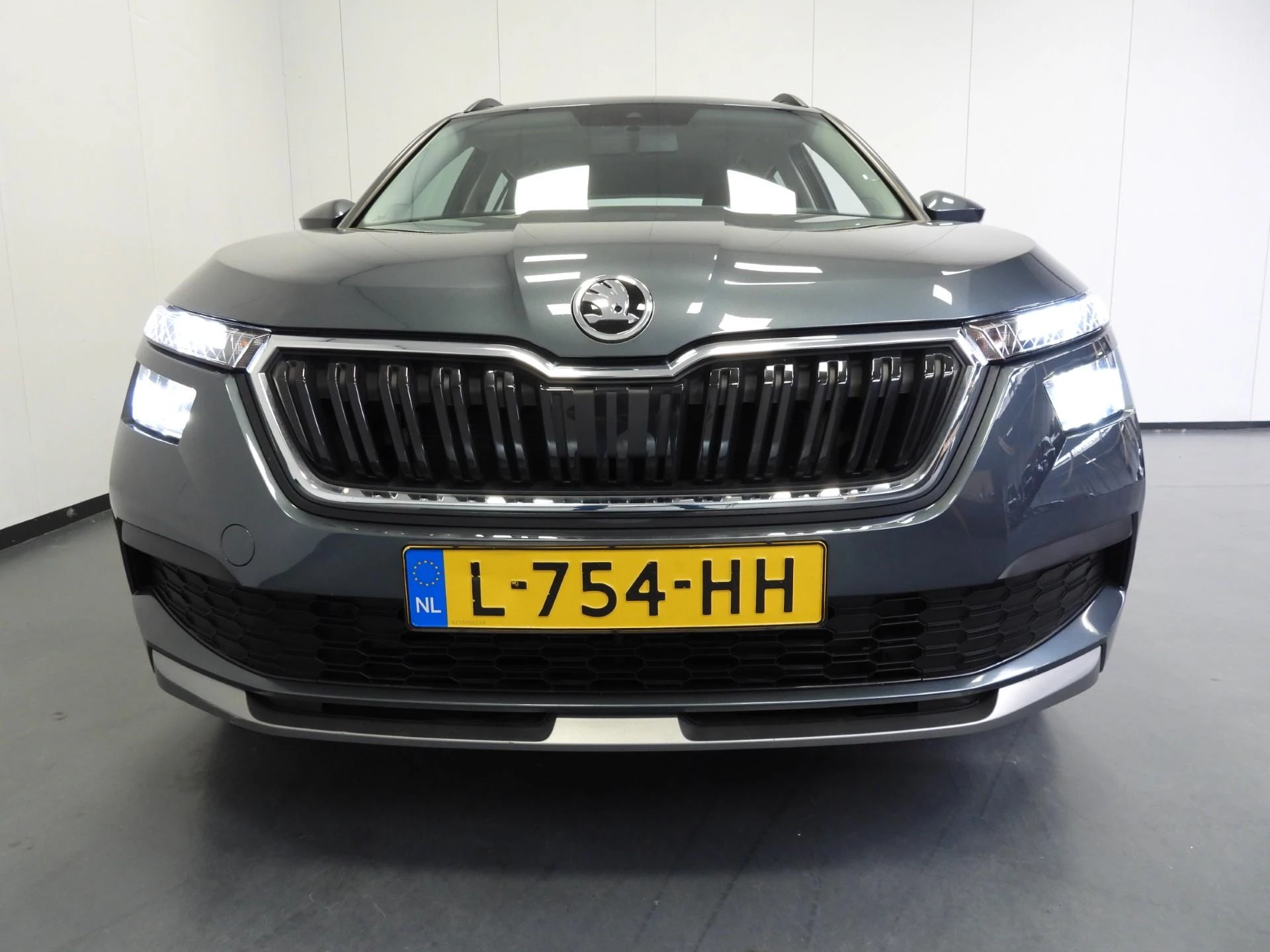 Hoofdafbeelding Škoda Kamiq