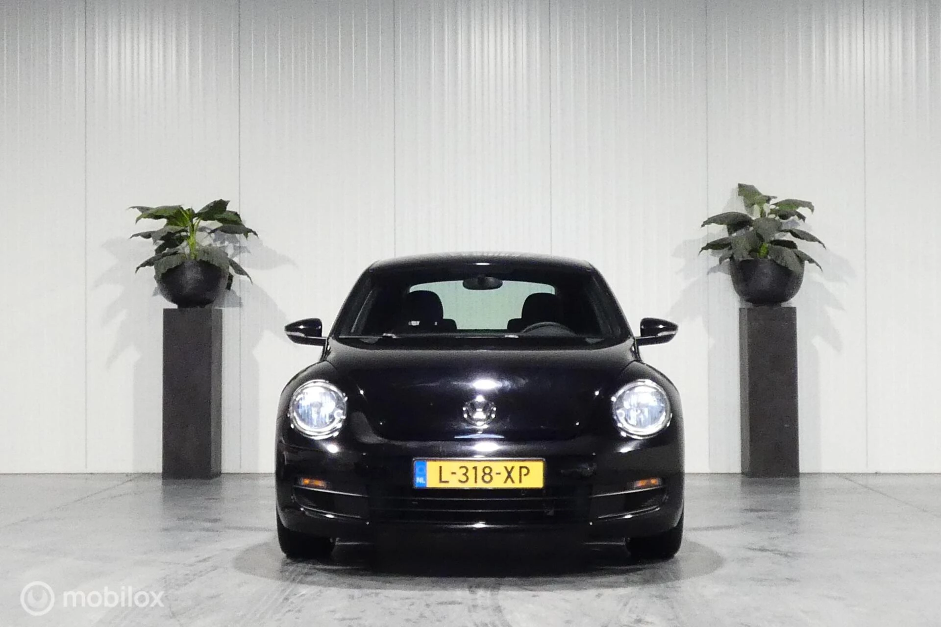 Hoofdafbeelding Volkswagen Beetle