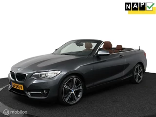 BMW 2-serie Cabrio 220i Sport Aut8 184Pk | NL Auto | Bruin-leder | clima | 19-breed set | xenon | Trekhaak | M-stoelen | TOPSTAAT
