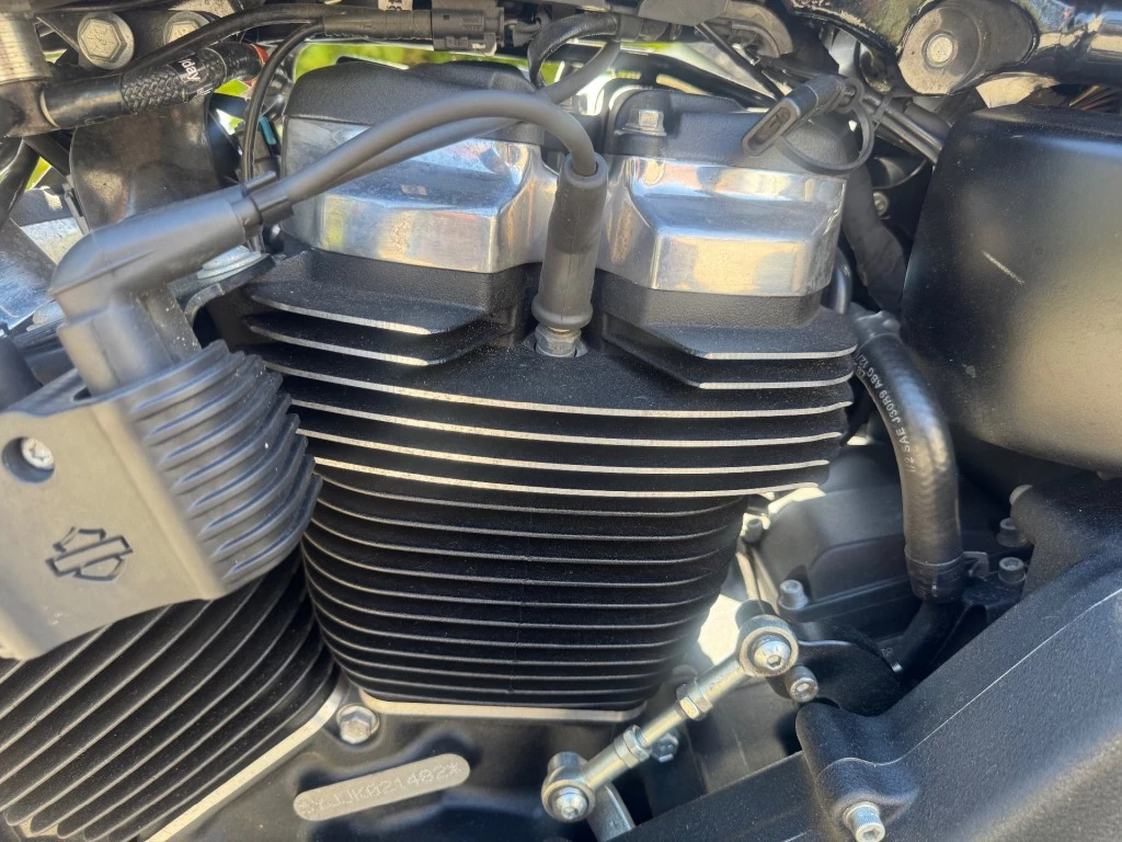 Hoofdafbeelding Harley-Davidson Street Bob
