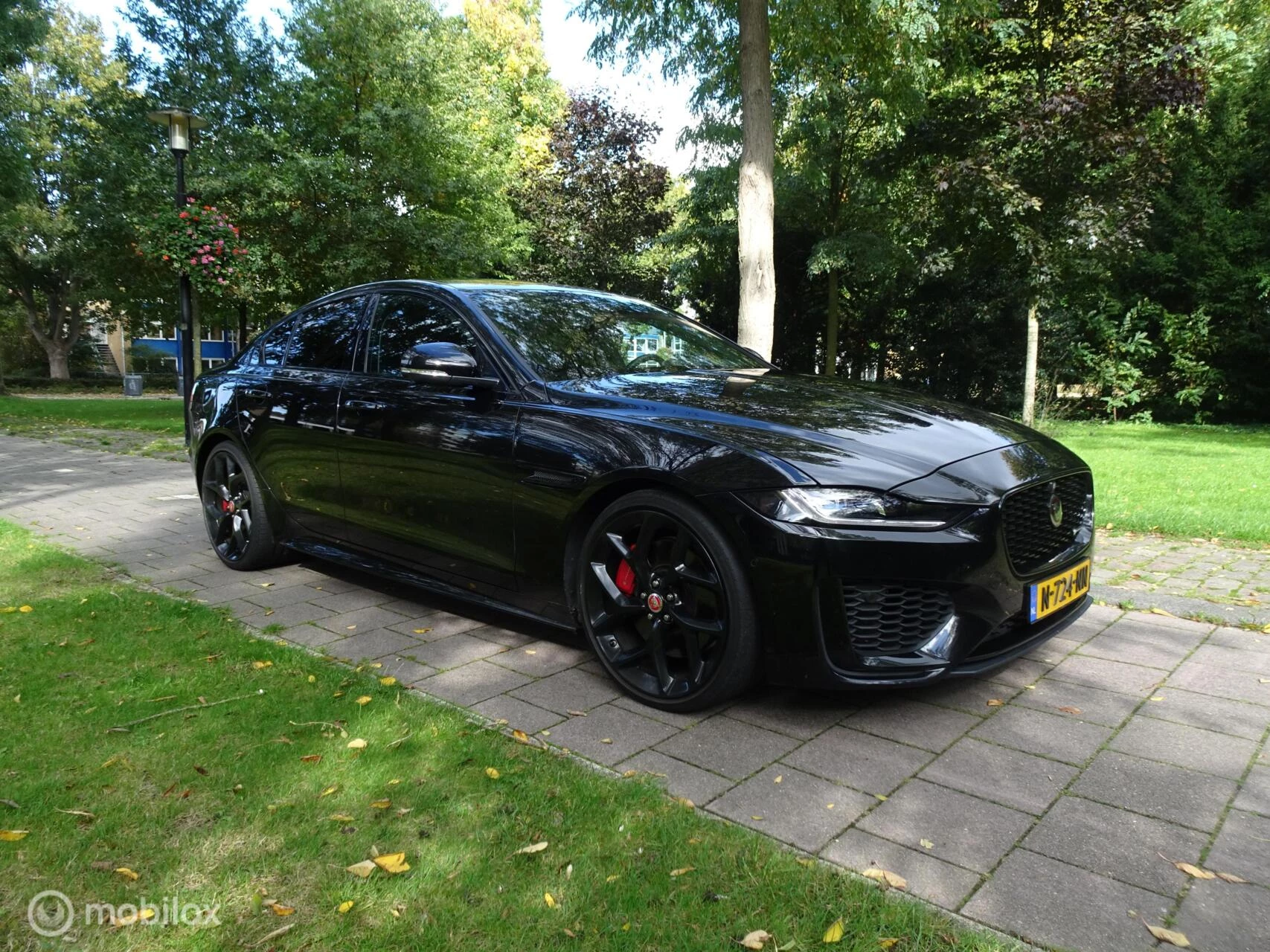 Hoofdafbeelding Jaguar XE