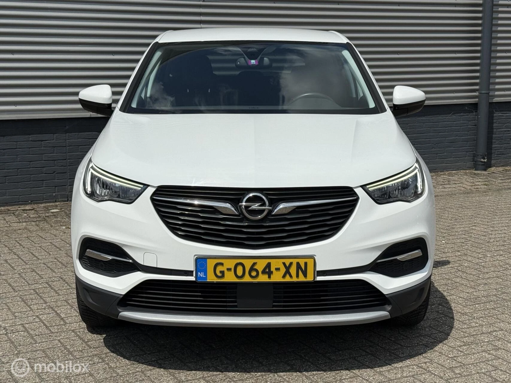 Hoofdafbeelding Opel Grandland X