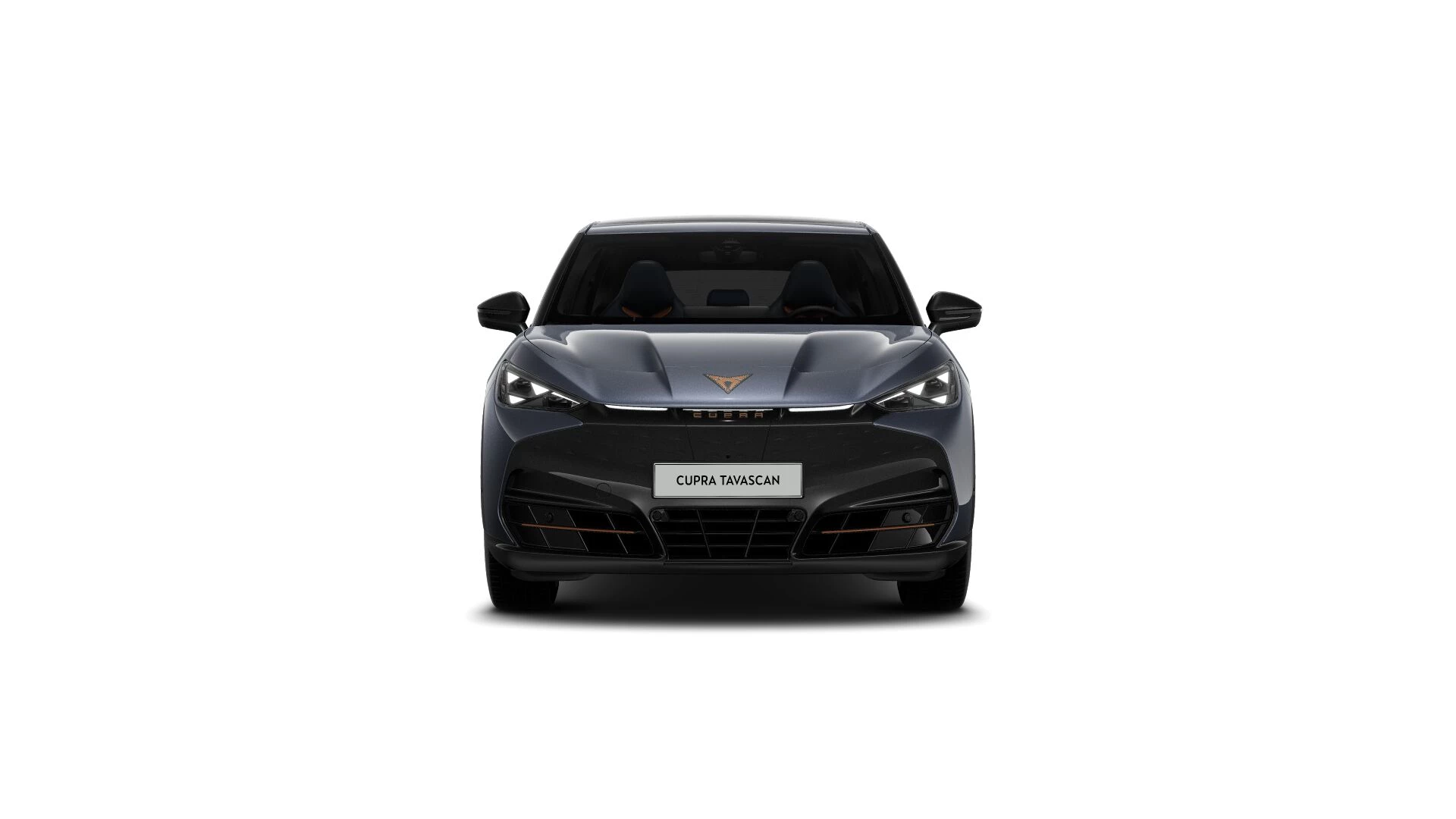 Hoofdafbeelding CUPRA Tavascan