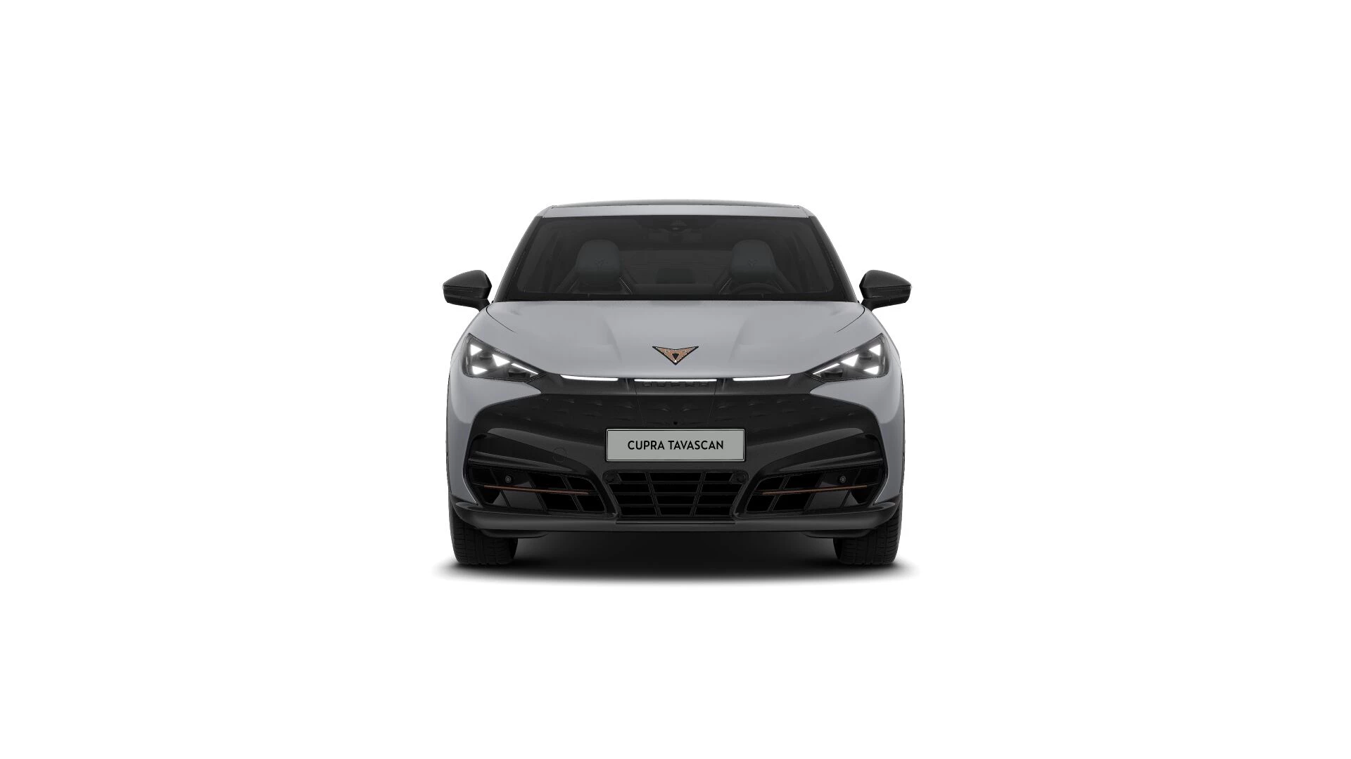 Hoofdafbeelding CUPRA Tavascan