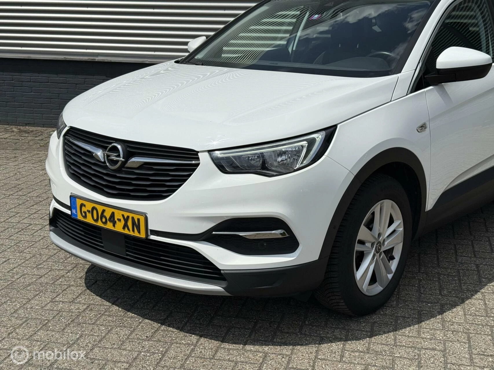 Hoofdafbeelding Opel Grandland X