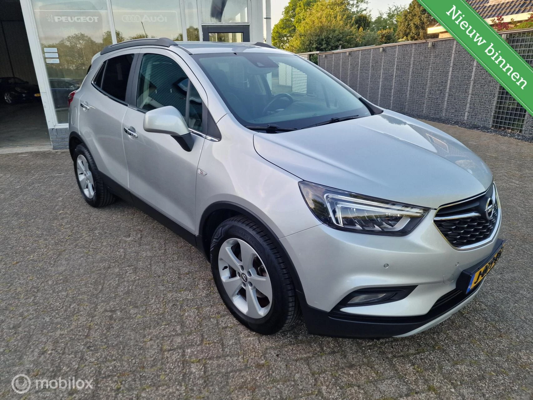 Hoofdafbeelding Opel Mokka X