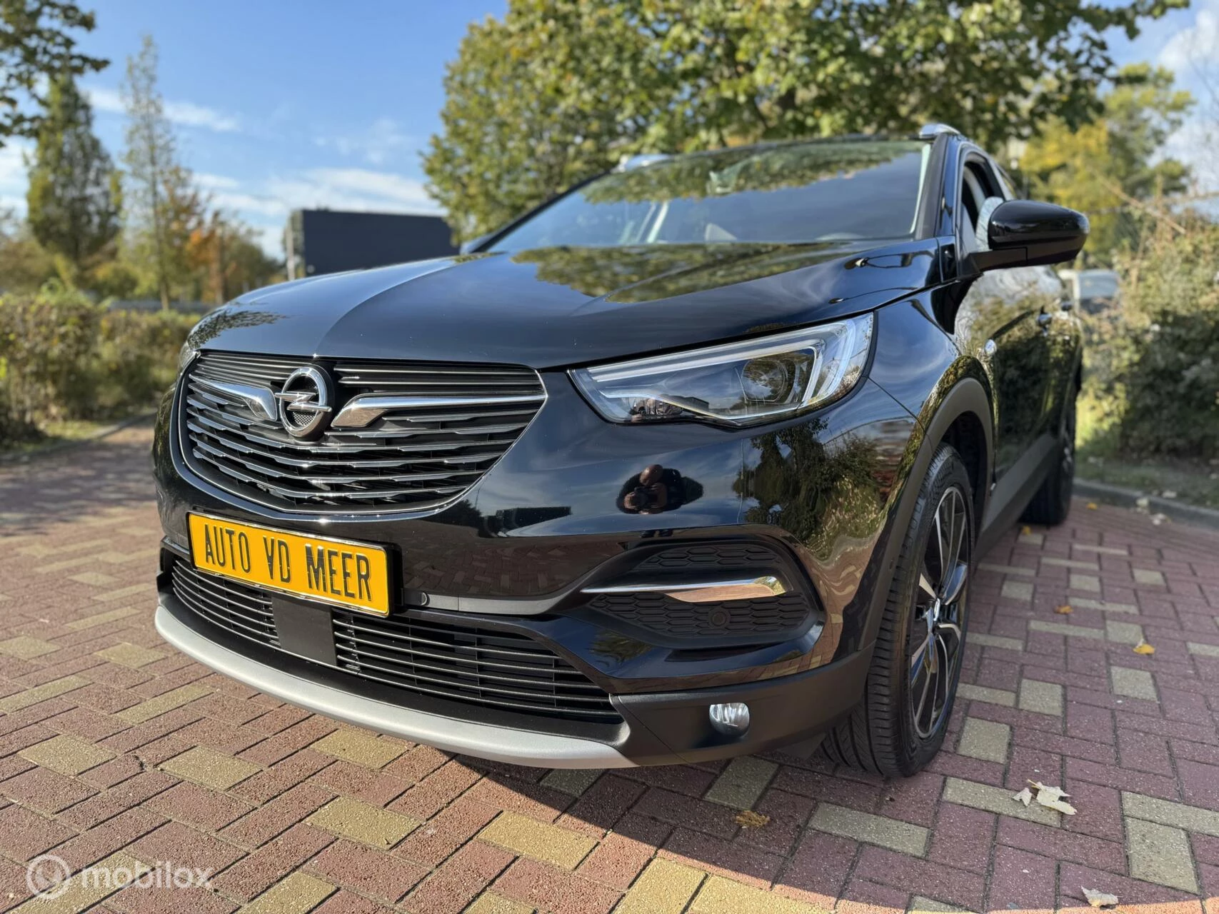 Hoofdafbeelding Opel Grandland X