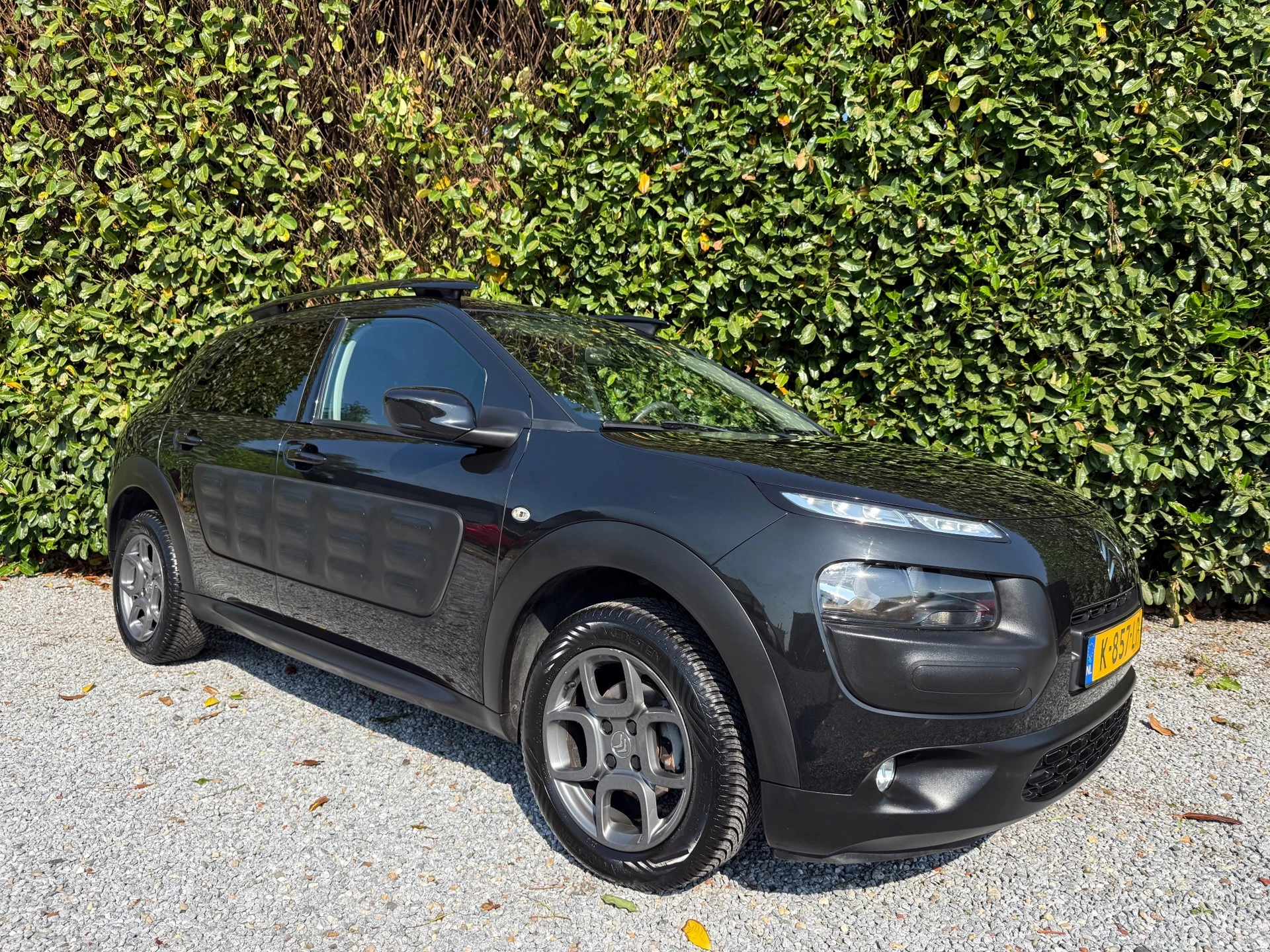 Hoofdafbeelding Citroën C4 Cactus