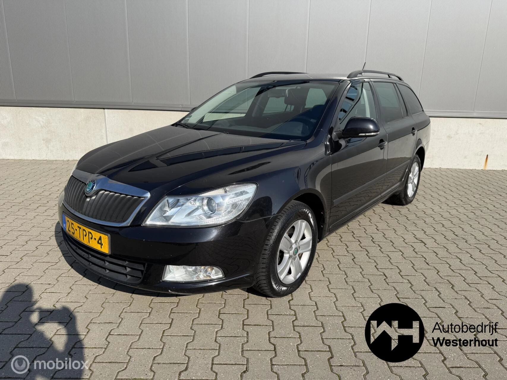 Hoofdafbeelding Škoda Octavia