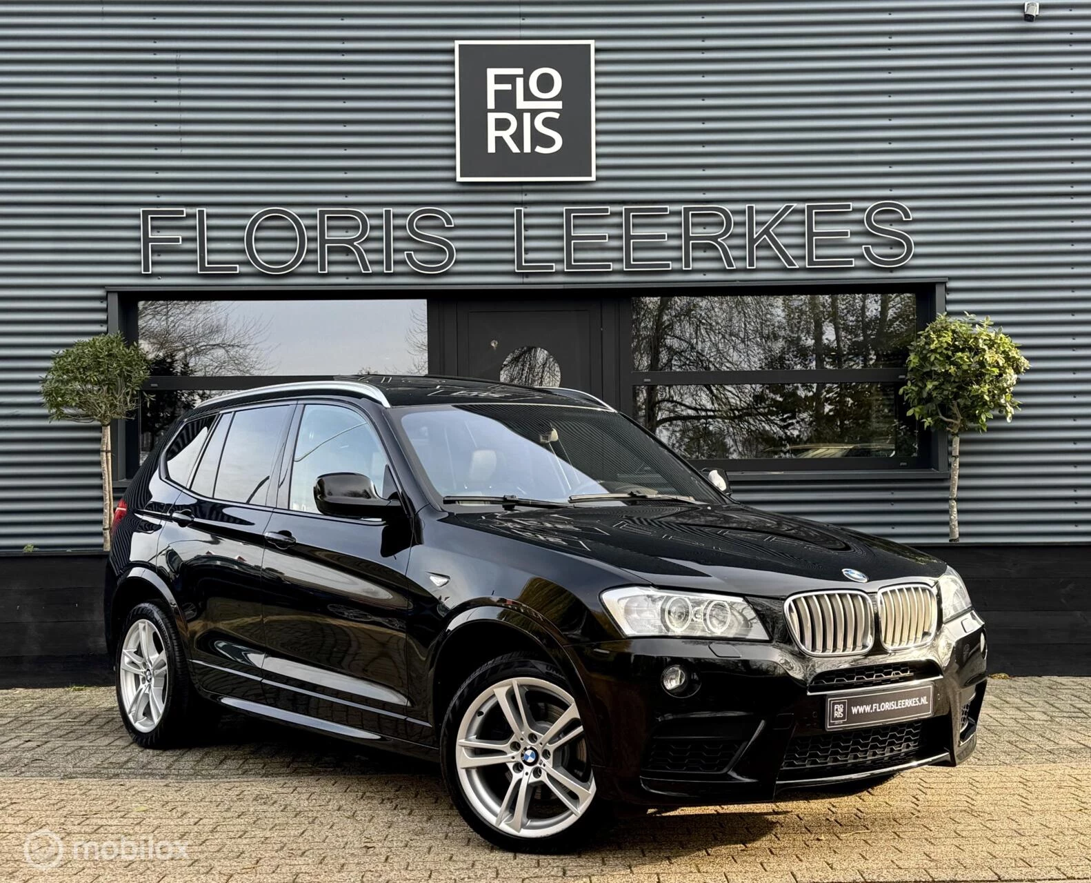 Hoofdafbeelding BMW X3