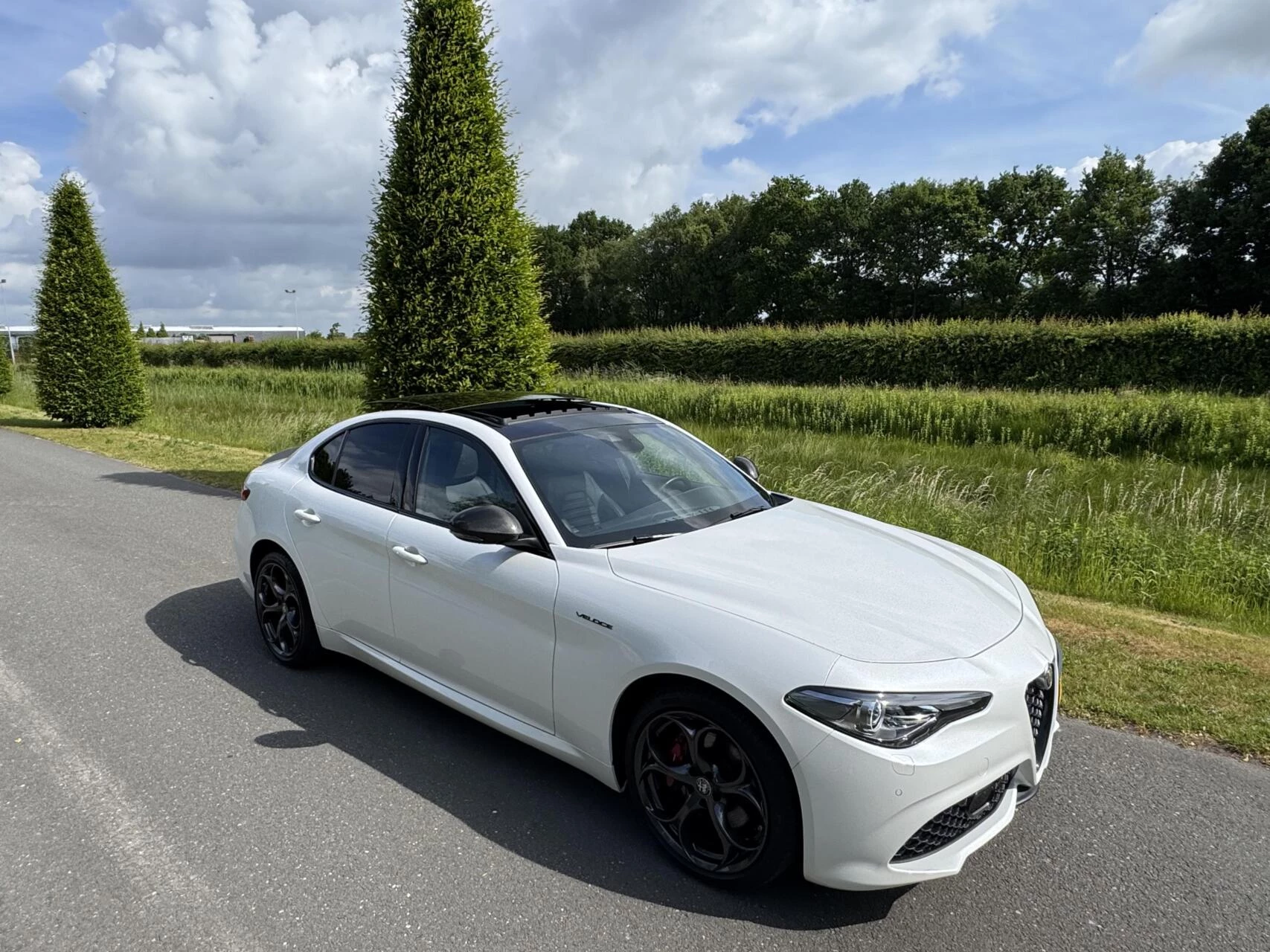Hoofdafbeelding Alfa Romeo Giulia